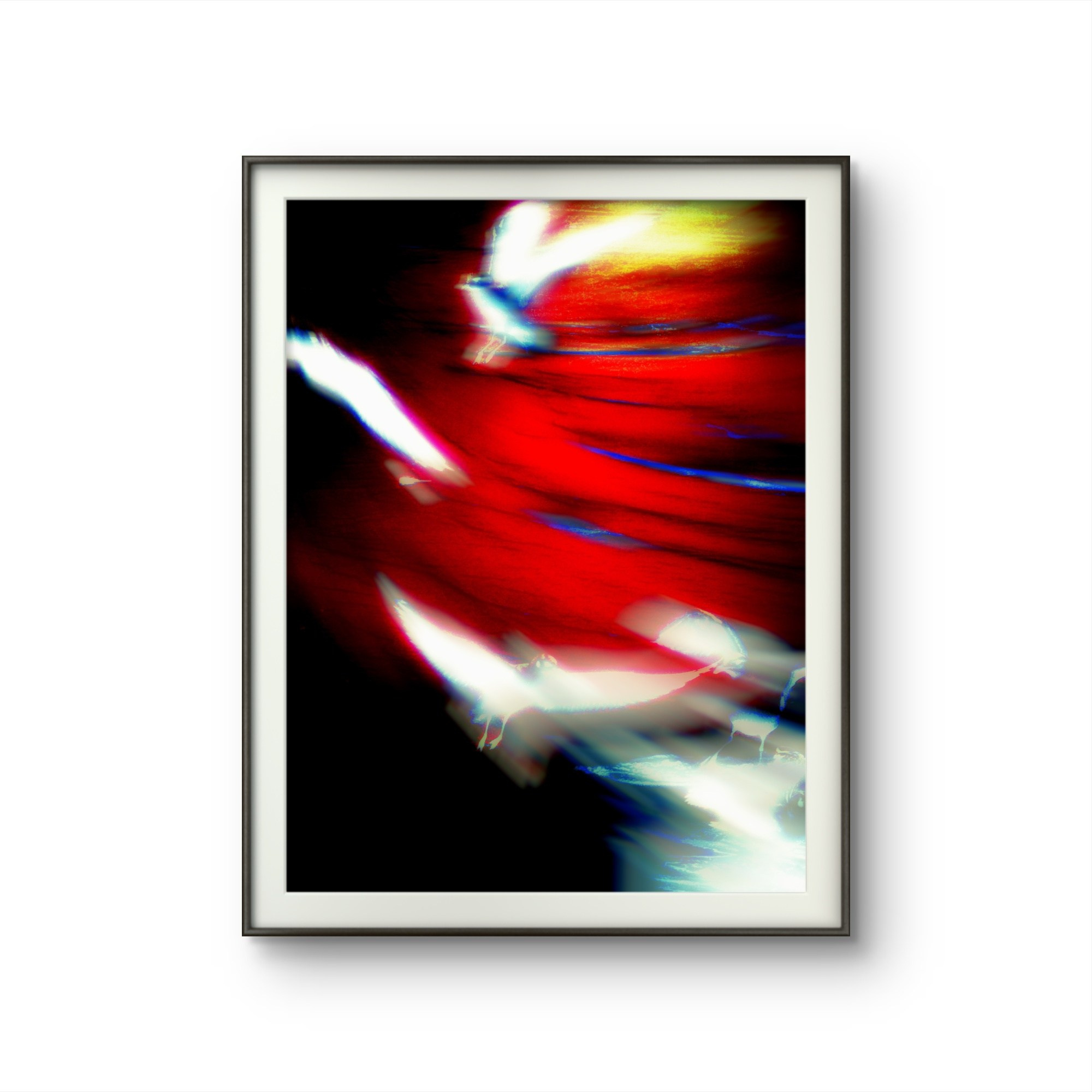 SEAGULLS. Irina Owlik — Visual Artist