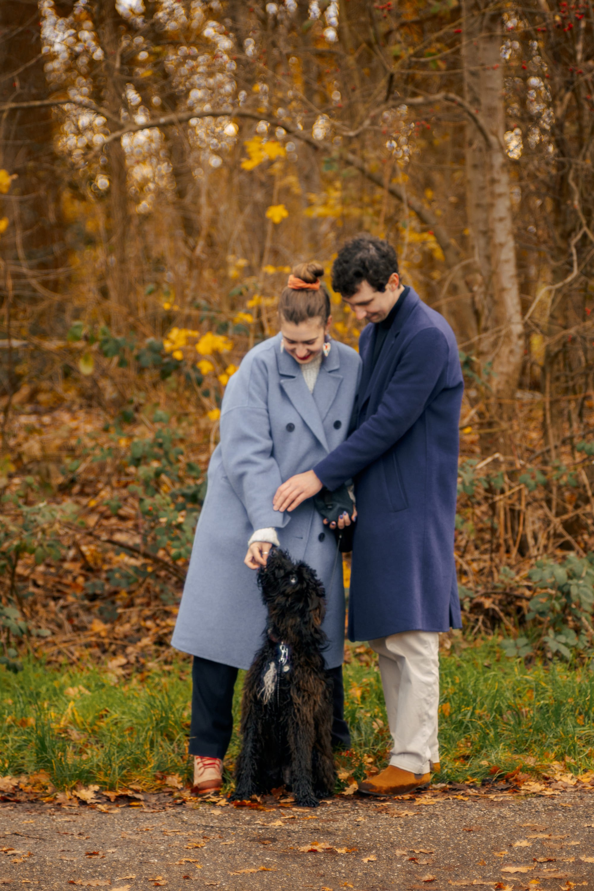 Pet Photoshoot in Spijkenisse | Rotterdam. Romantic & Soulful Photography by Natalia Olhova in Rotterdam