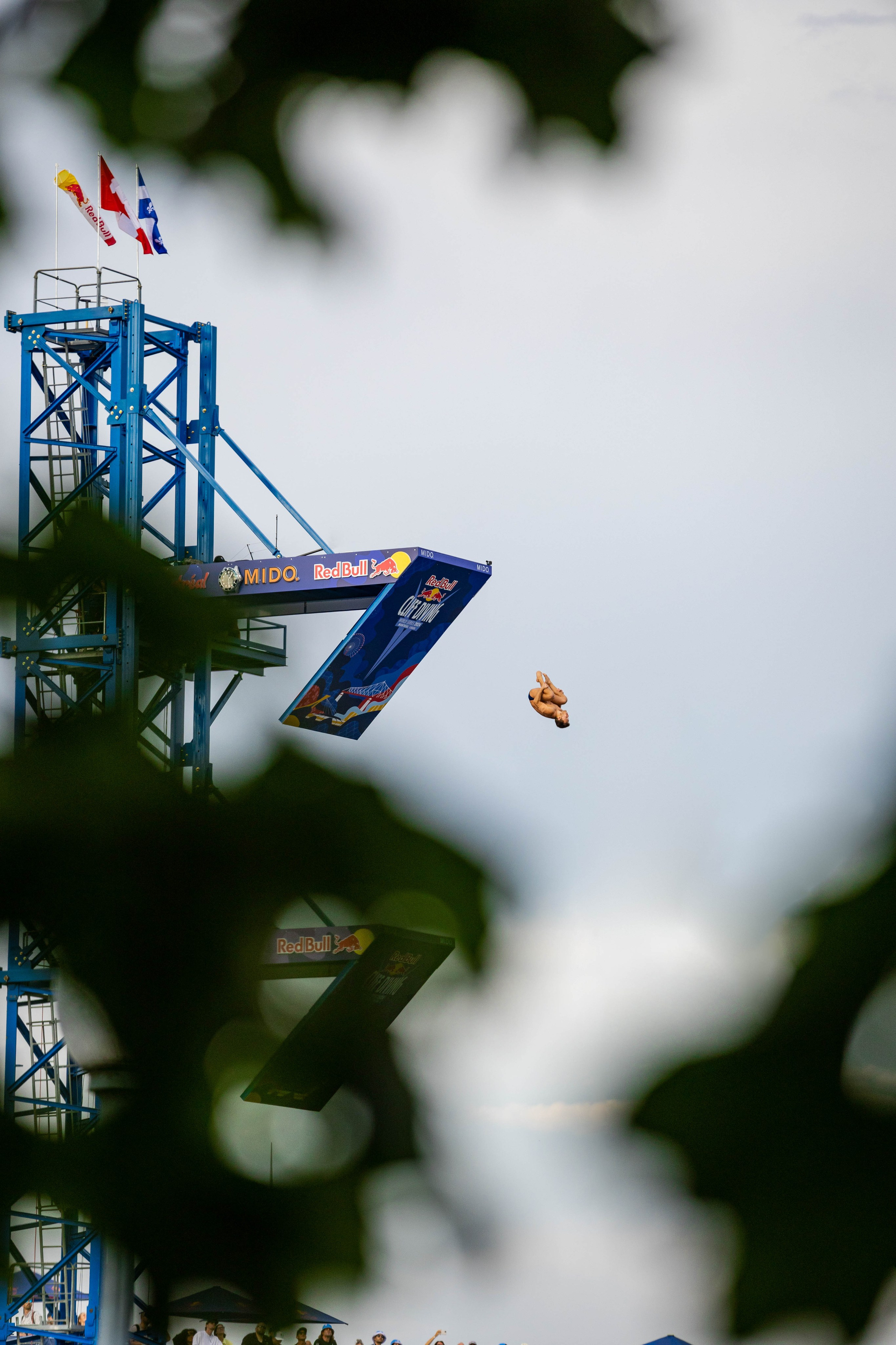 REDBULL DIVE MONTREAL