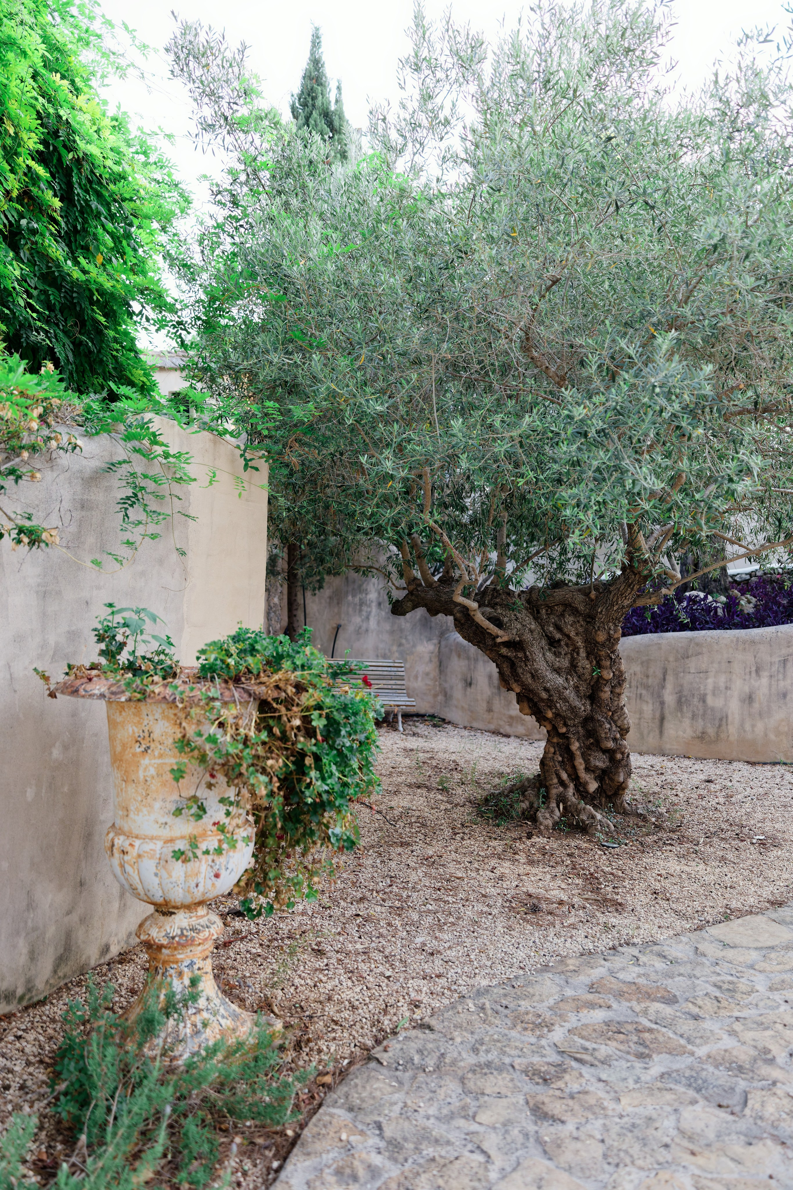 Haldi Ceremony & Mehndi Night & pre-wedding dinner, Barcelona