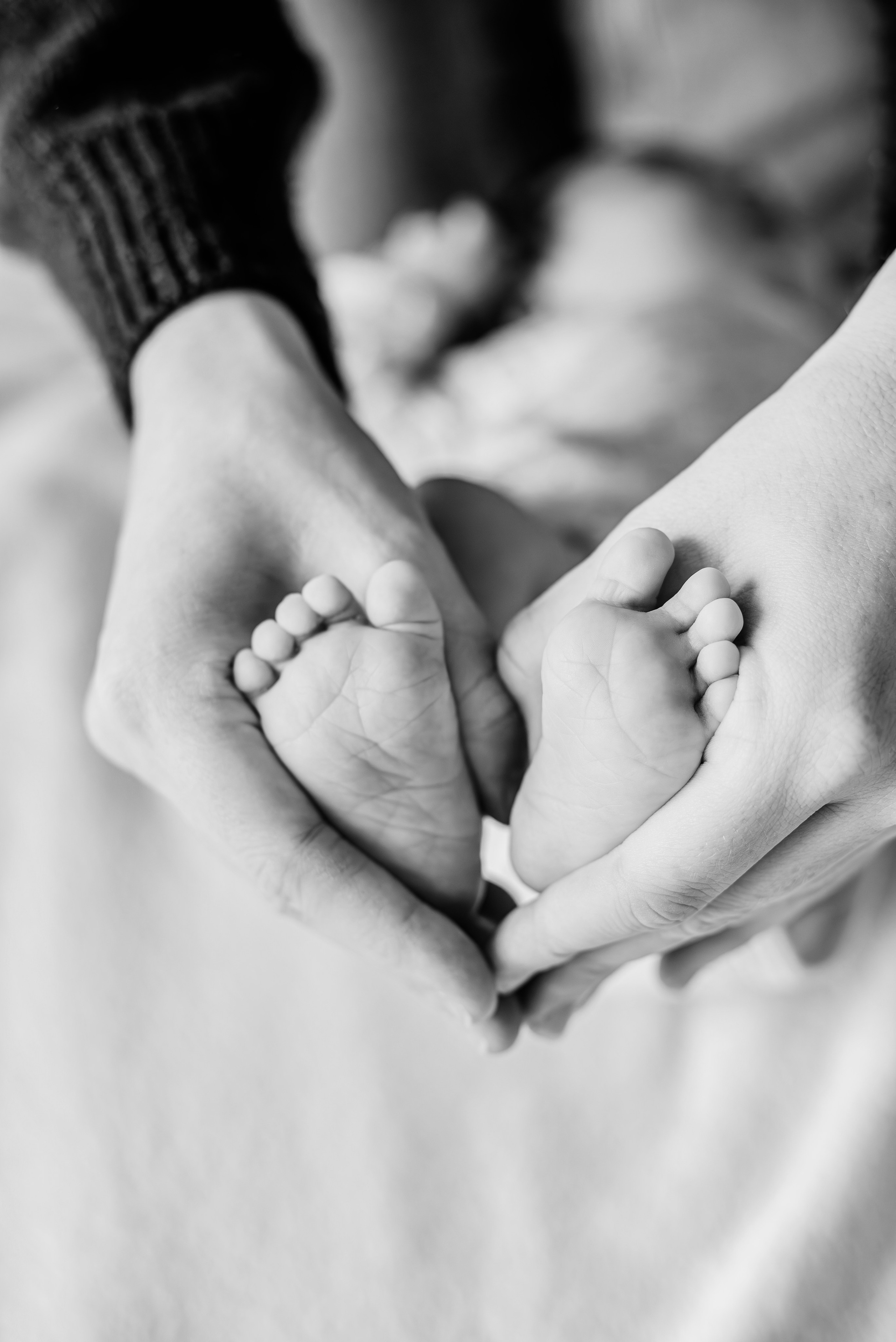 Exemples de séances photo bébé & famille à Toulouse — Evolution. Evolution — projet photo du premier an de bébé à Toulouse