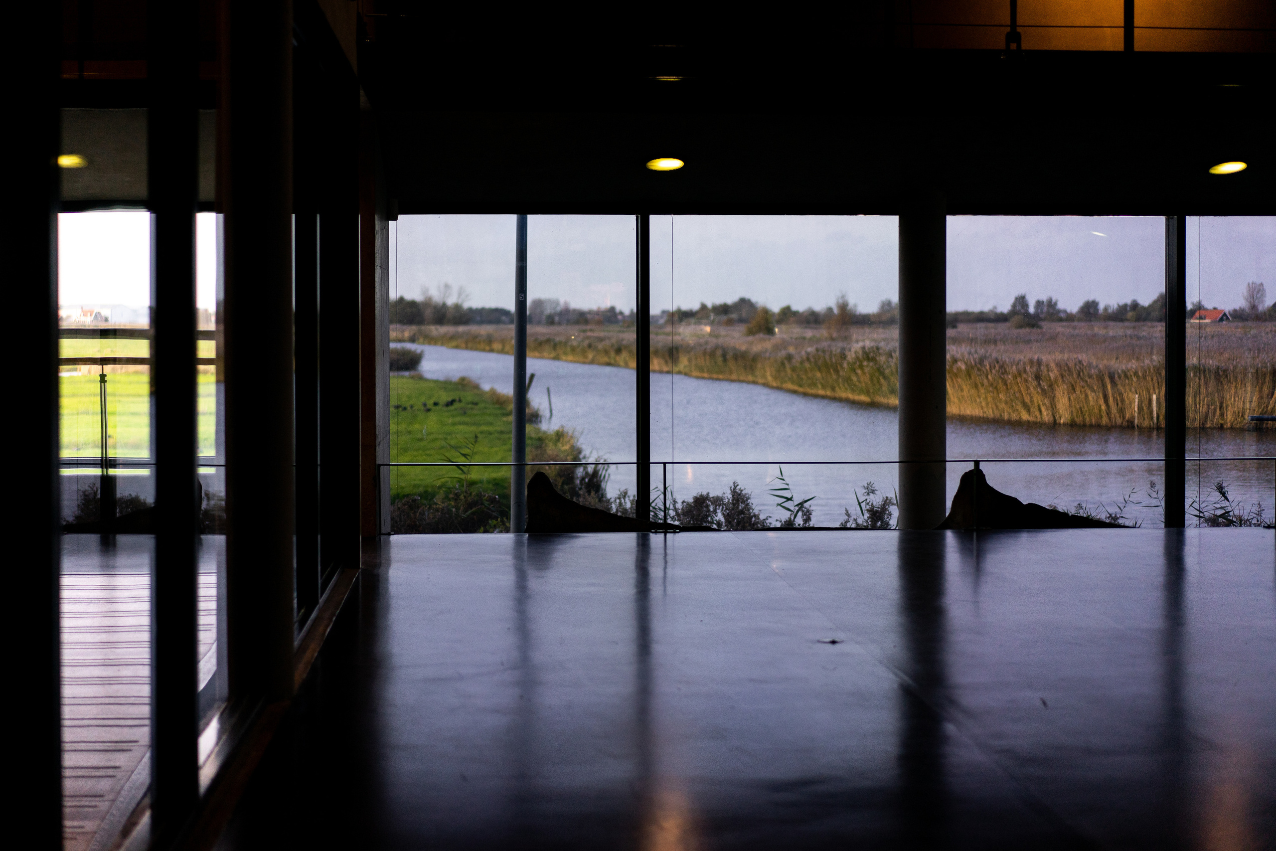 Amsterdam. Photographe à Genève - Eugenia Andres