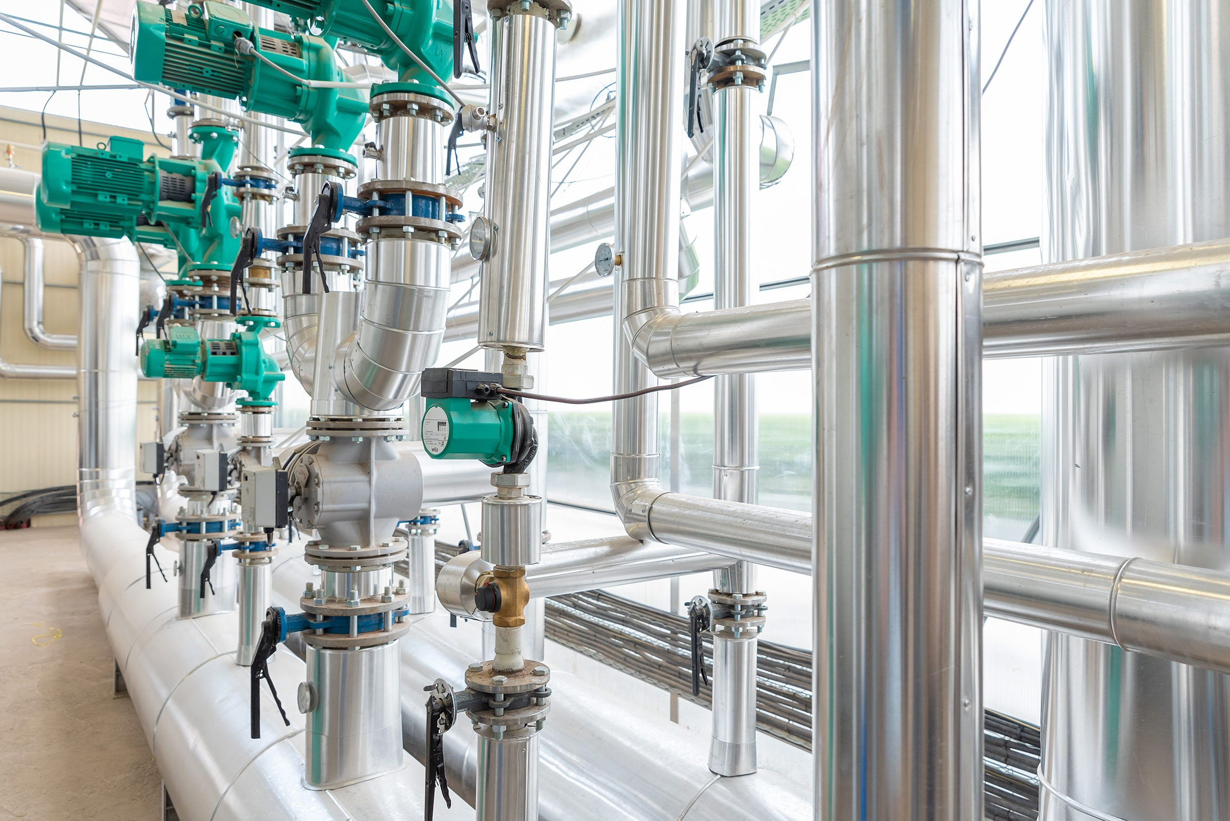 Rockberry. Фотограф в Ереване