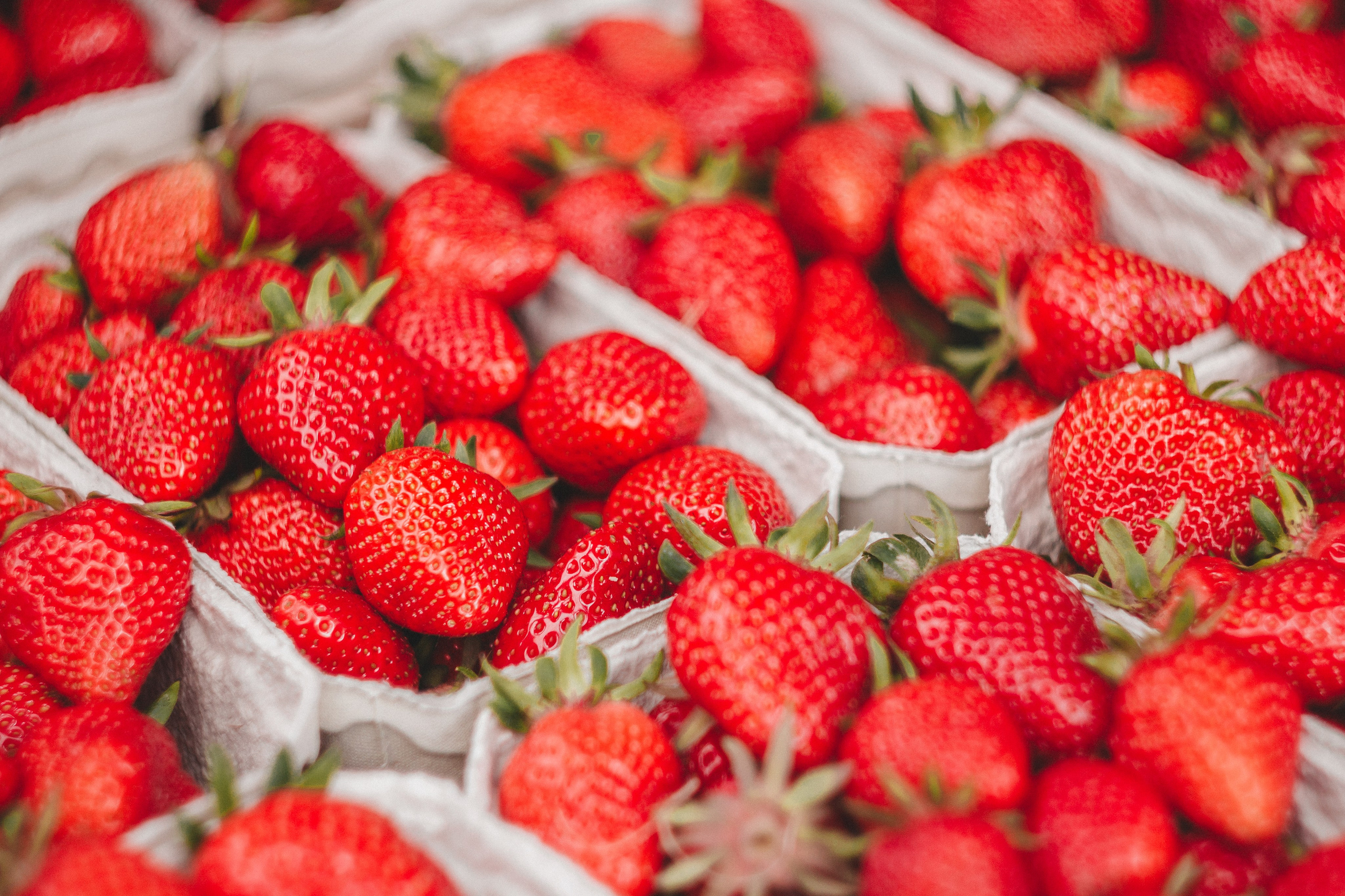 Oberkircher Erdbeerfest. Maria Chistyakovа — Fotografin in Karlsruhe, Baden-Baden und Umgebung