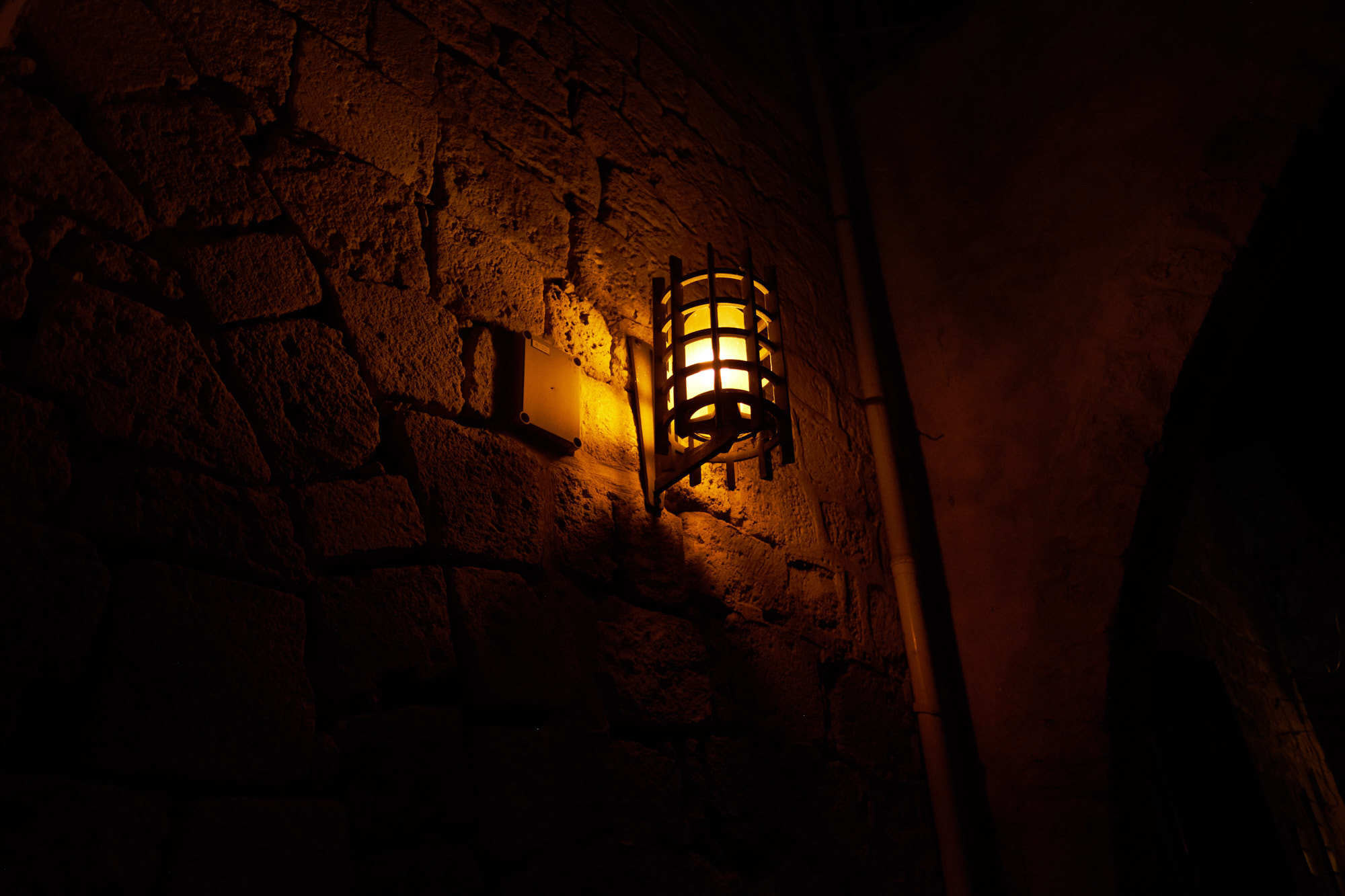 Evgeny&Marina. צלם אלכס ברט בישראל