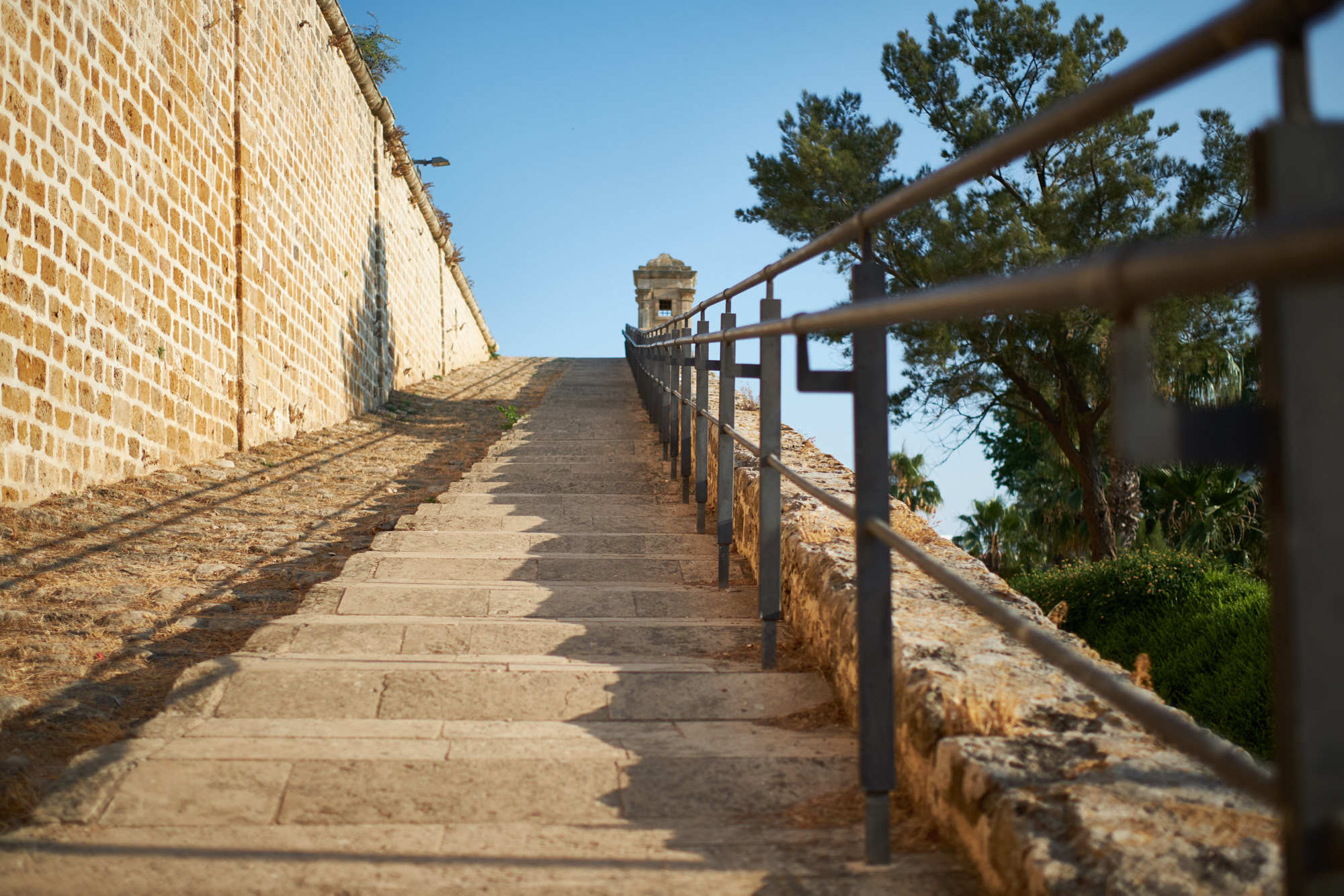 Evgeny&Marina. צלם אלכס ברט בישראל