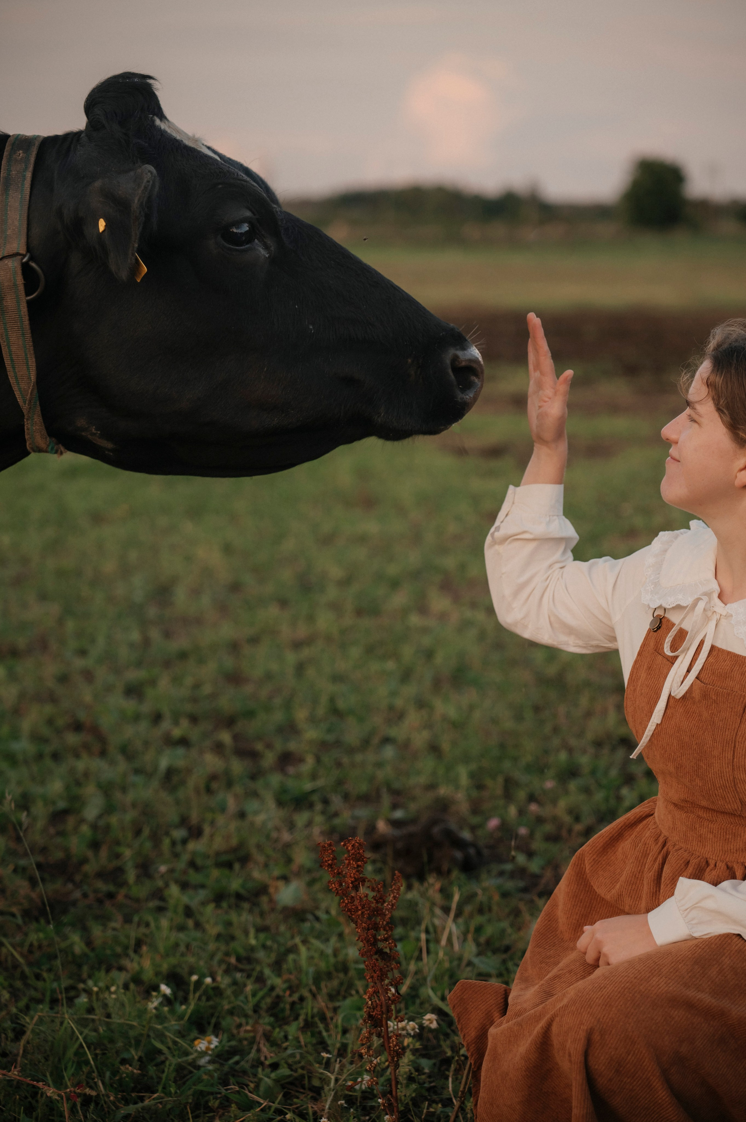 Сестры. Photographer Tallinn — Wedding | Family | Love Story