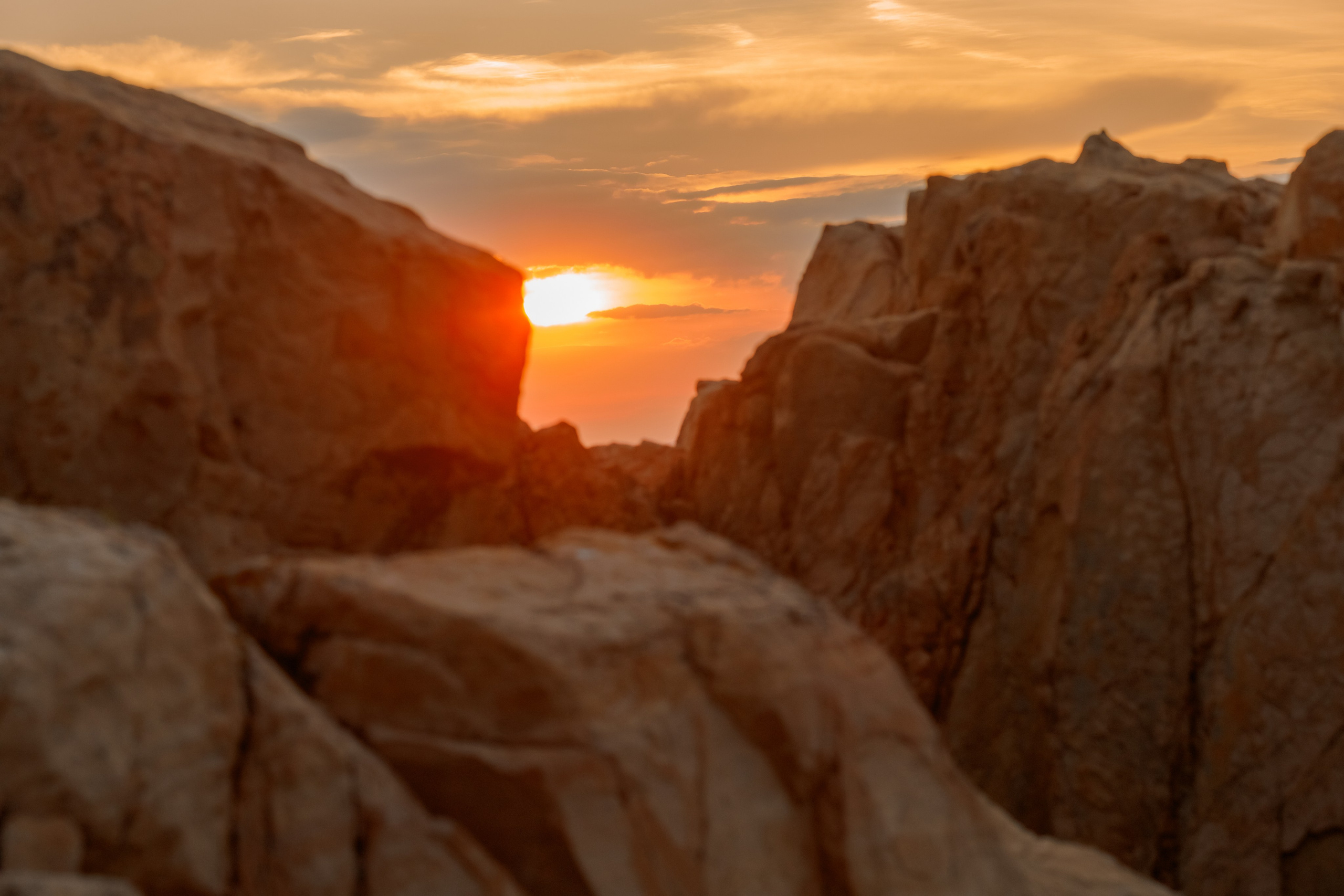 Love story. Фотограф Ирина Йотова