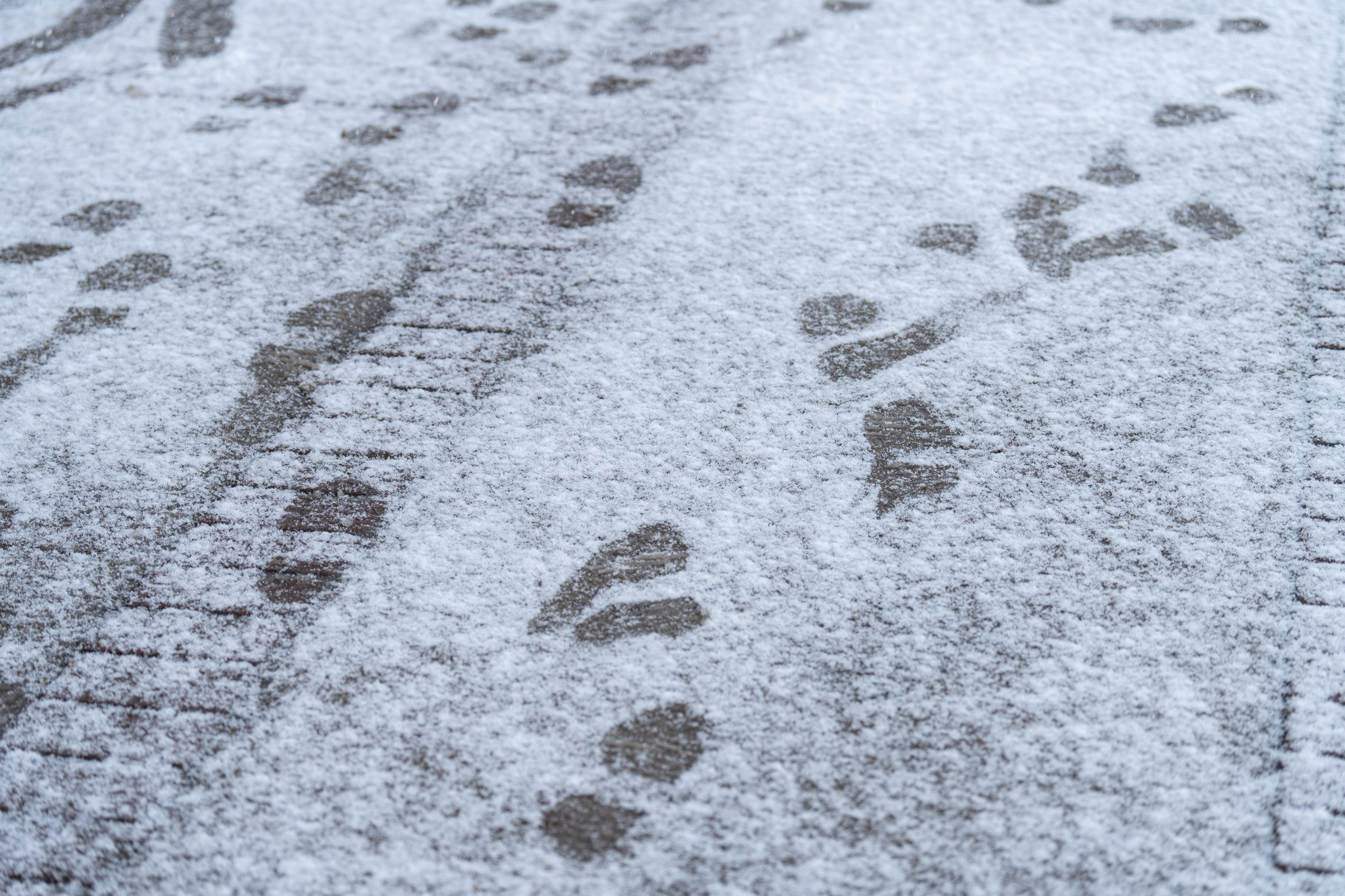 Первый снег в 2024 году. Георгий Намазов | Фотограф в Ташкенте