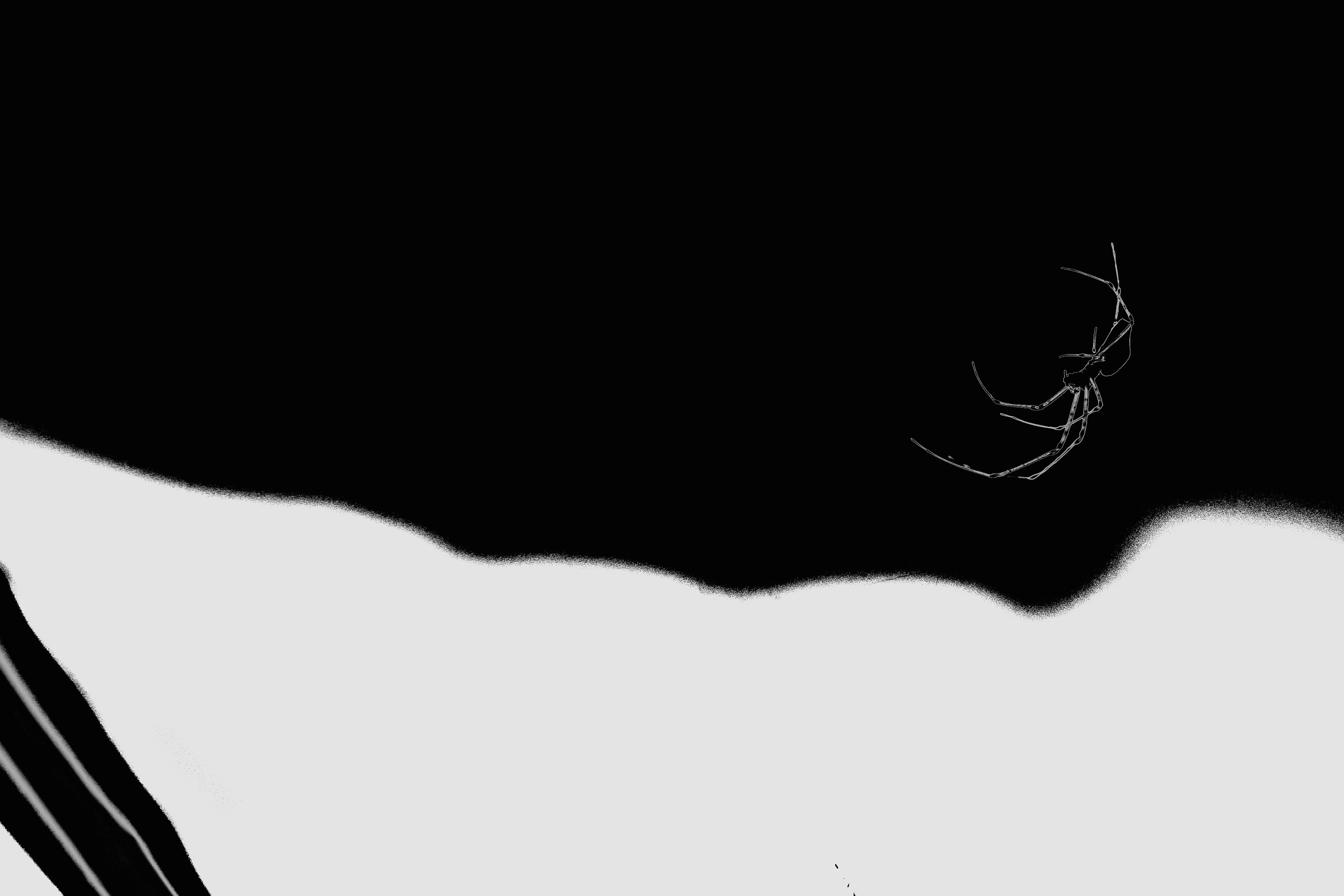 ART. Alexandru Raileanu