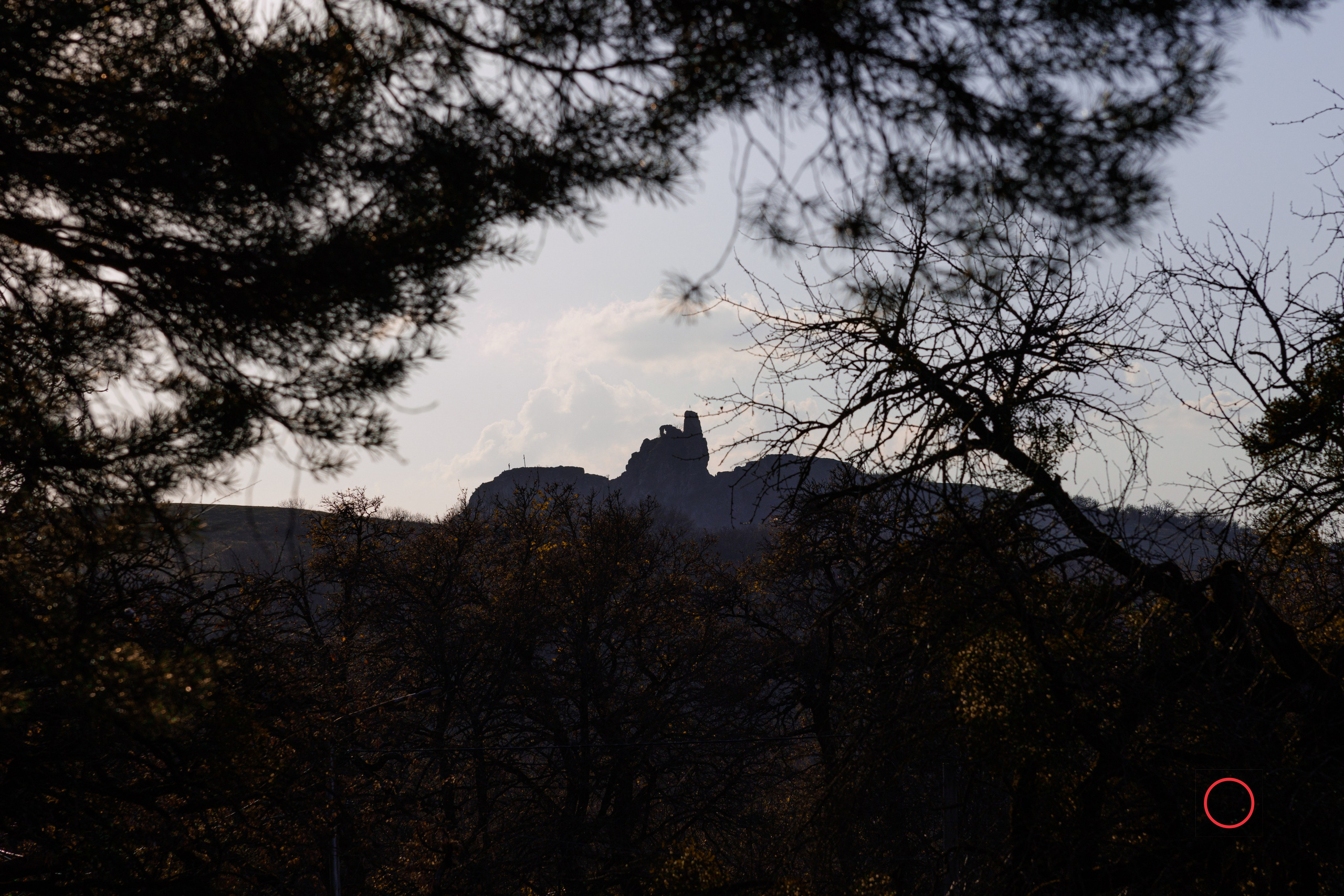 ტყე შემოდგომისა. FramefreeMan