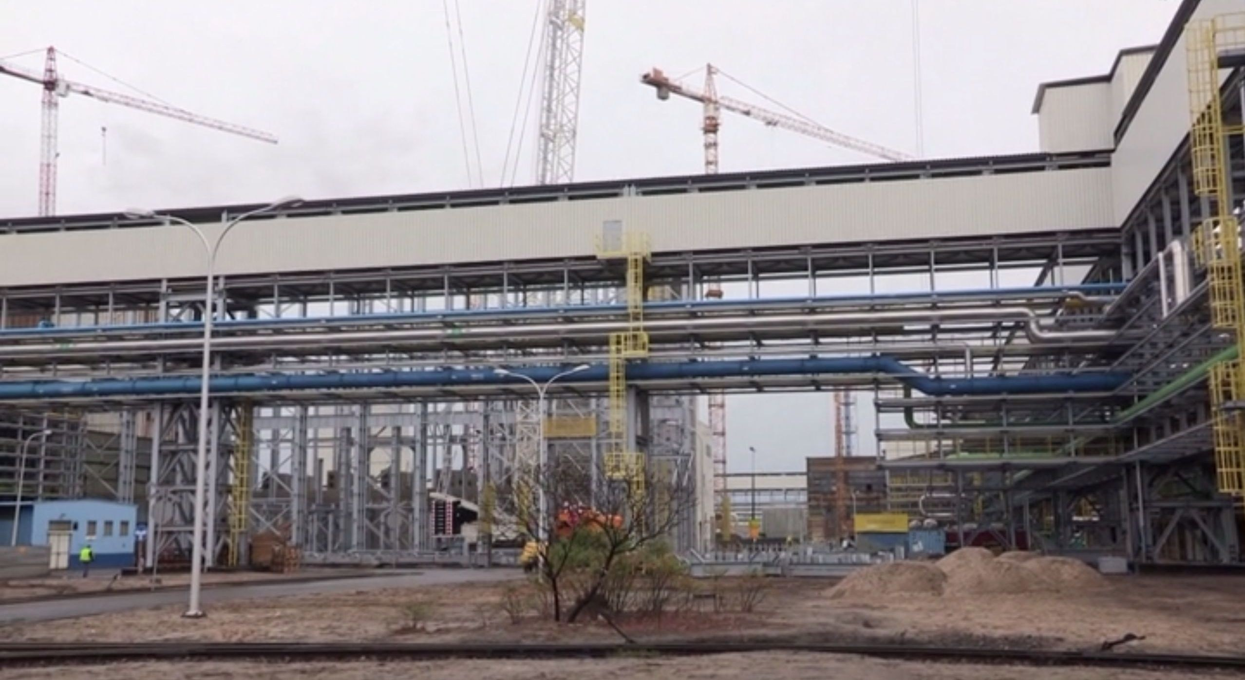 Projekty. Vector design studio Czesław Zubelewicz