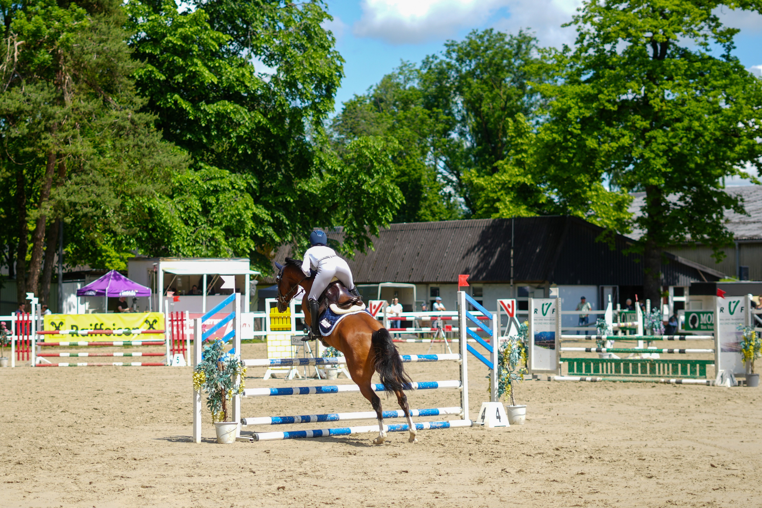 Equestrian Competition