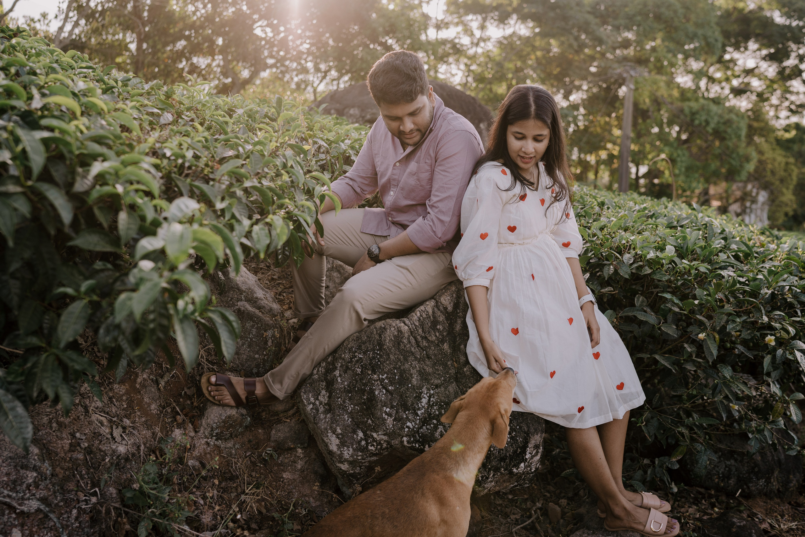 Greeshma & Vignesh. Agam Vizha