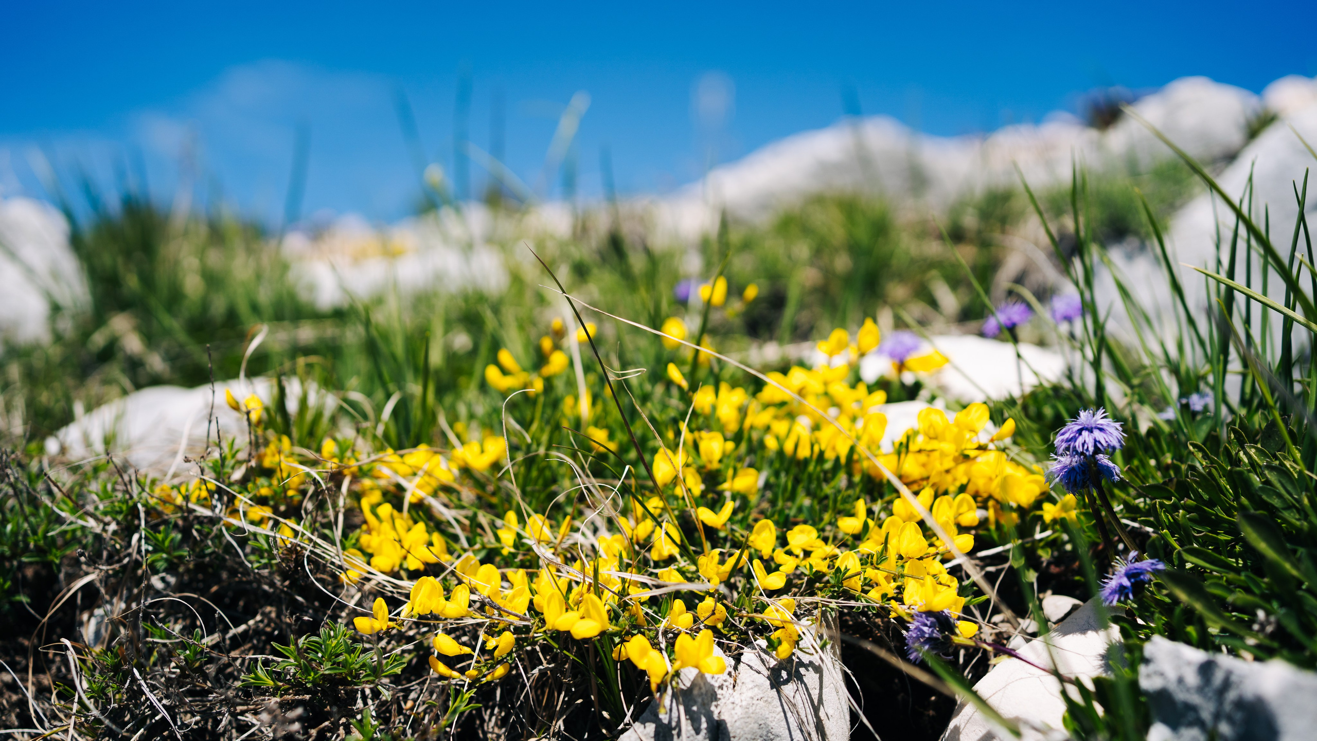 LANDSCAPE. PHOTOGRAPHER|VIDEOGRAPHER MONTENEGRO