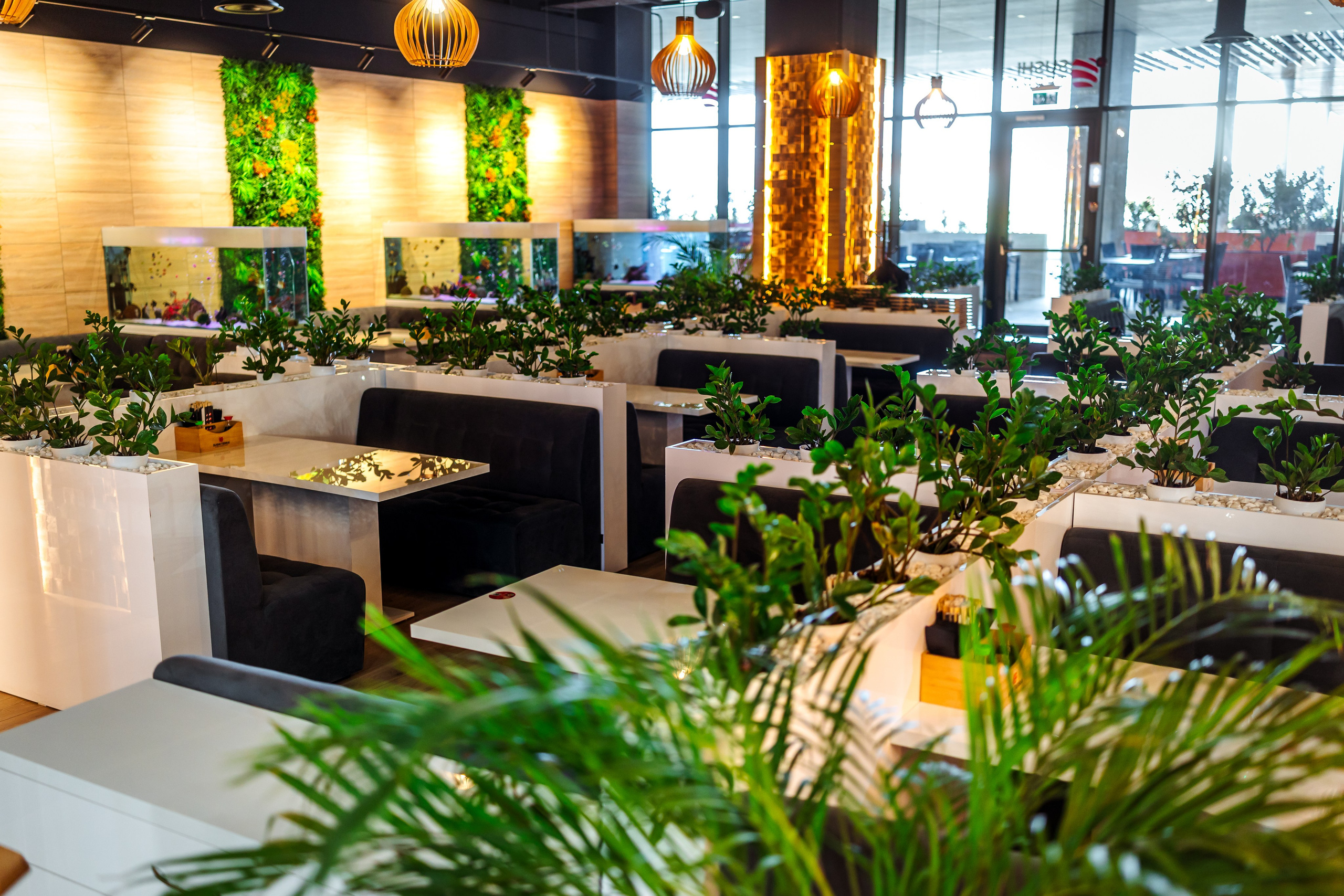Sushi Terra. Marius Ciocan