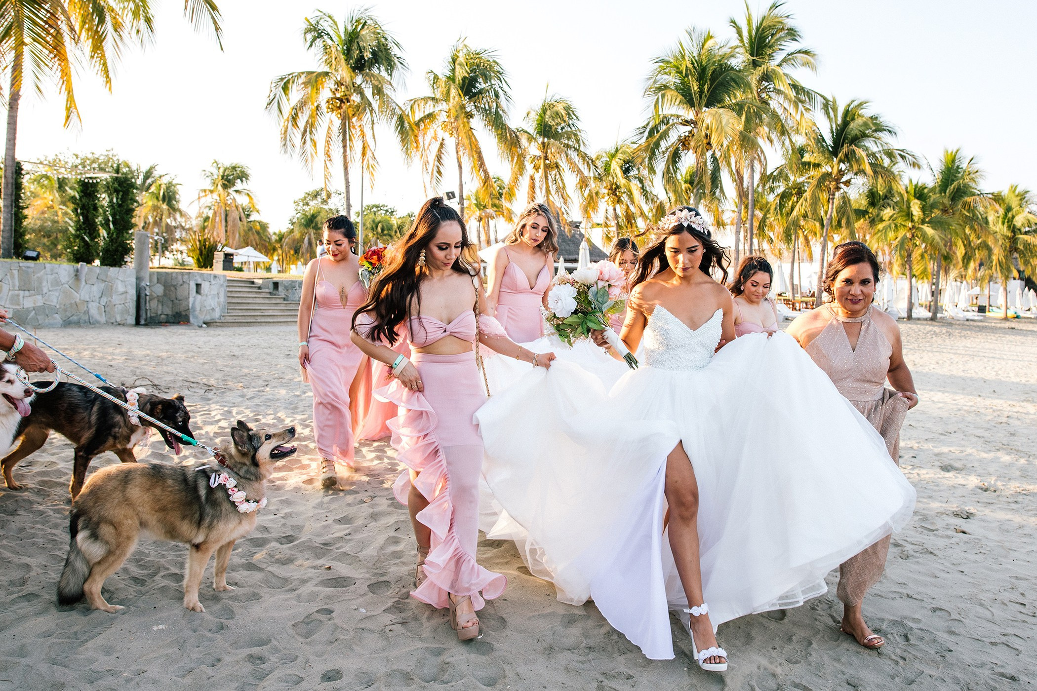 Wedding Day. Principal