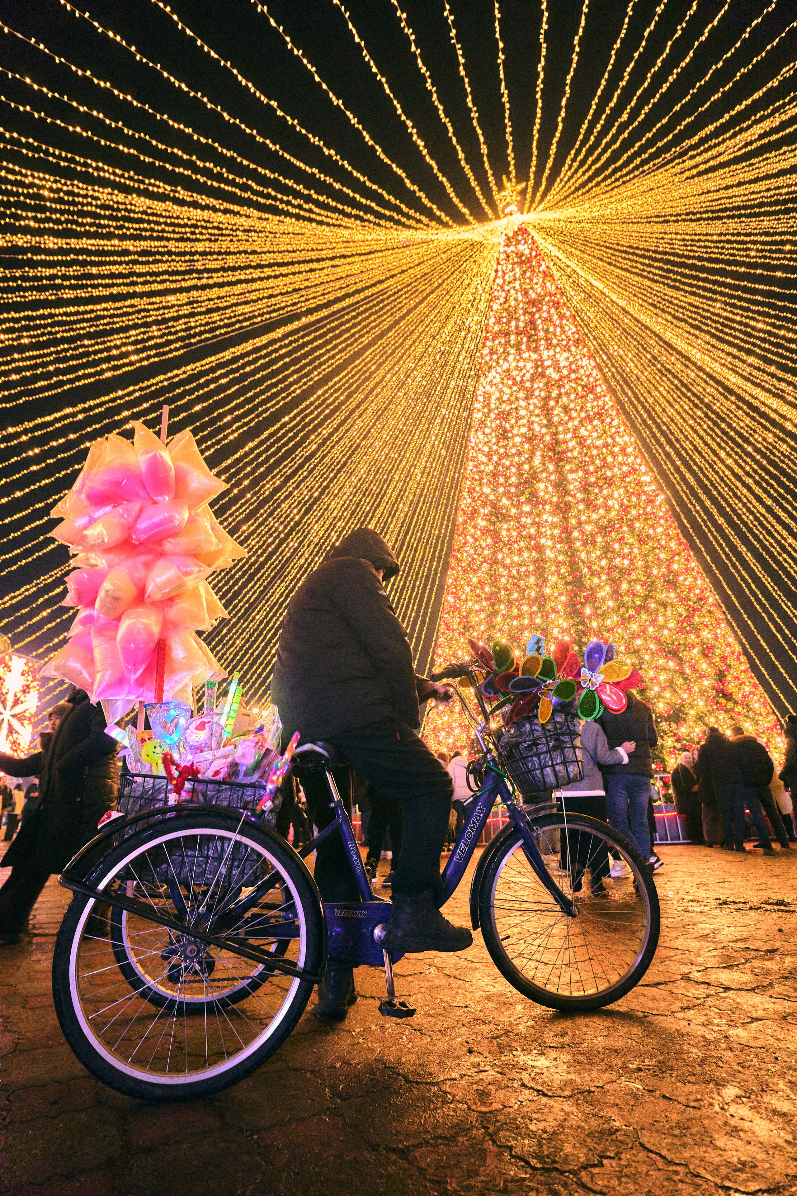 Street. The Photographer