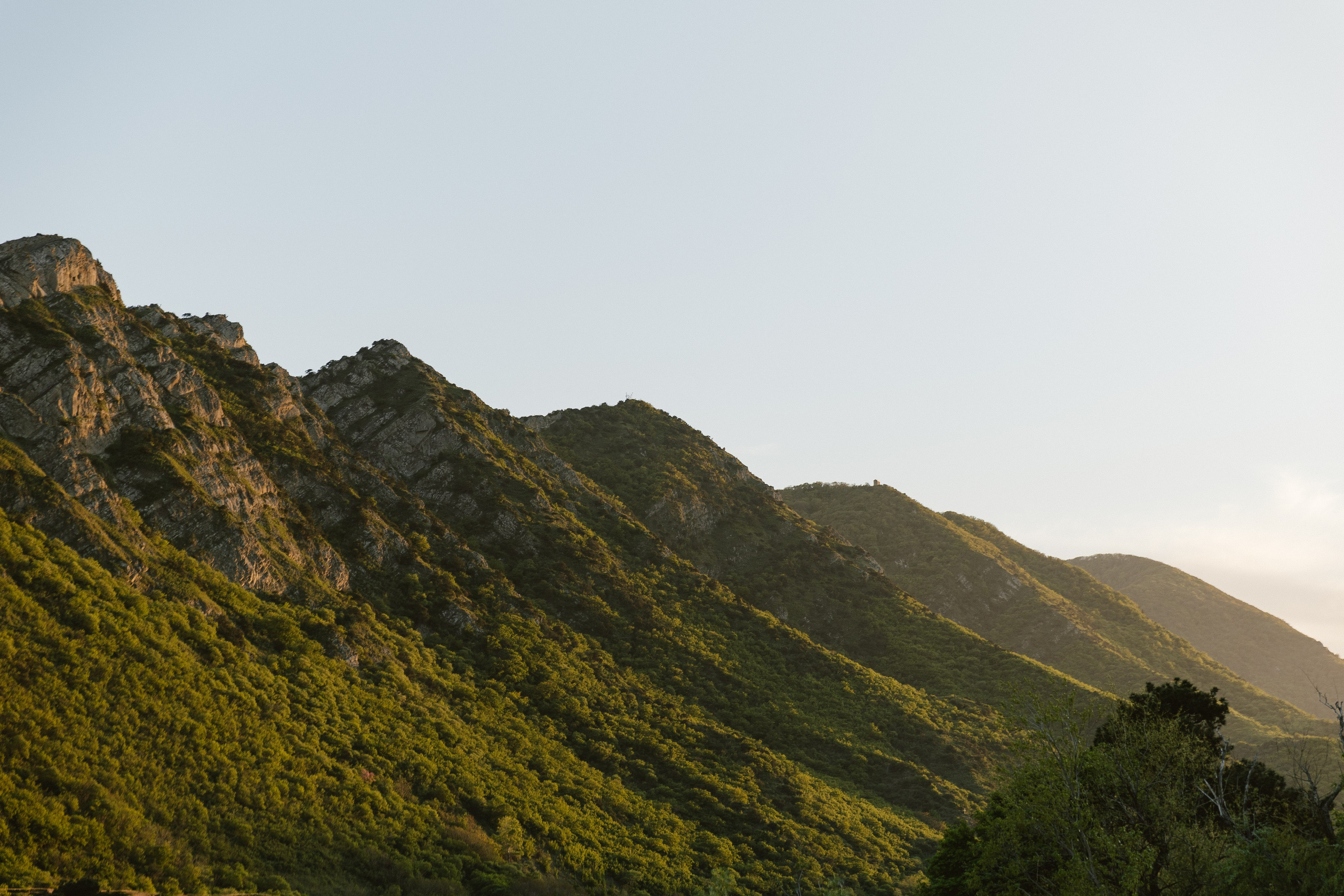 Mtsheta (40 min from Tbilisi)/Мцхета (40 мин от Тбилиси). Photographer Anna Nazarenko