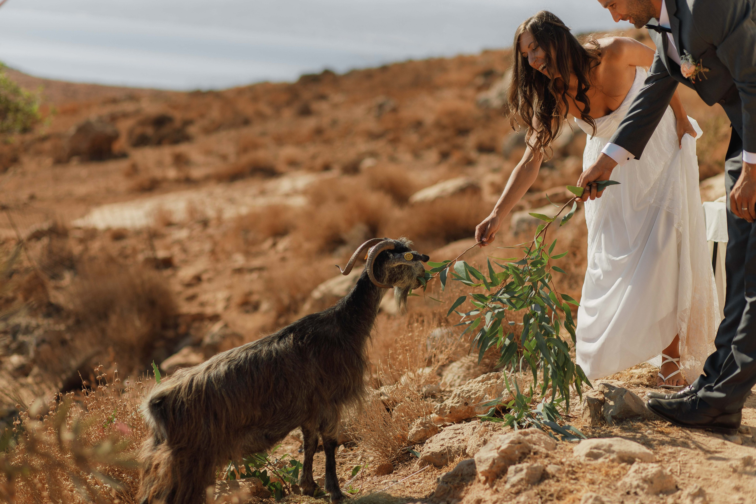 Marino & Steffi, Crete. Denny Savon — Photographer in Santorini | Weddings, Love Stories & Flying Dress