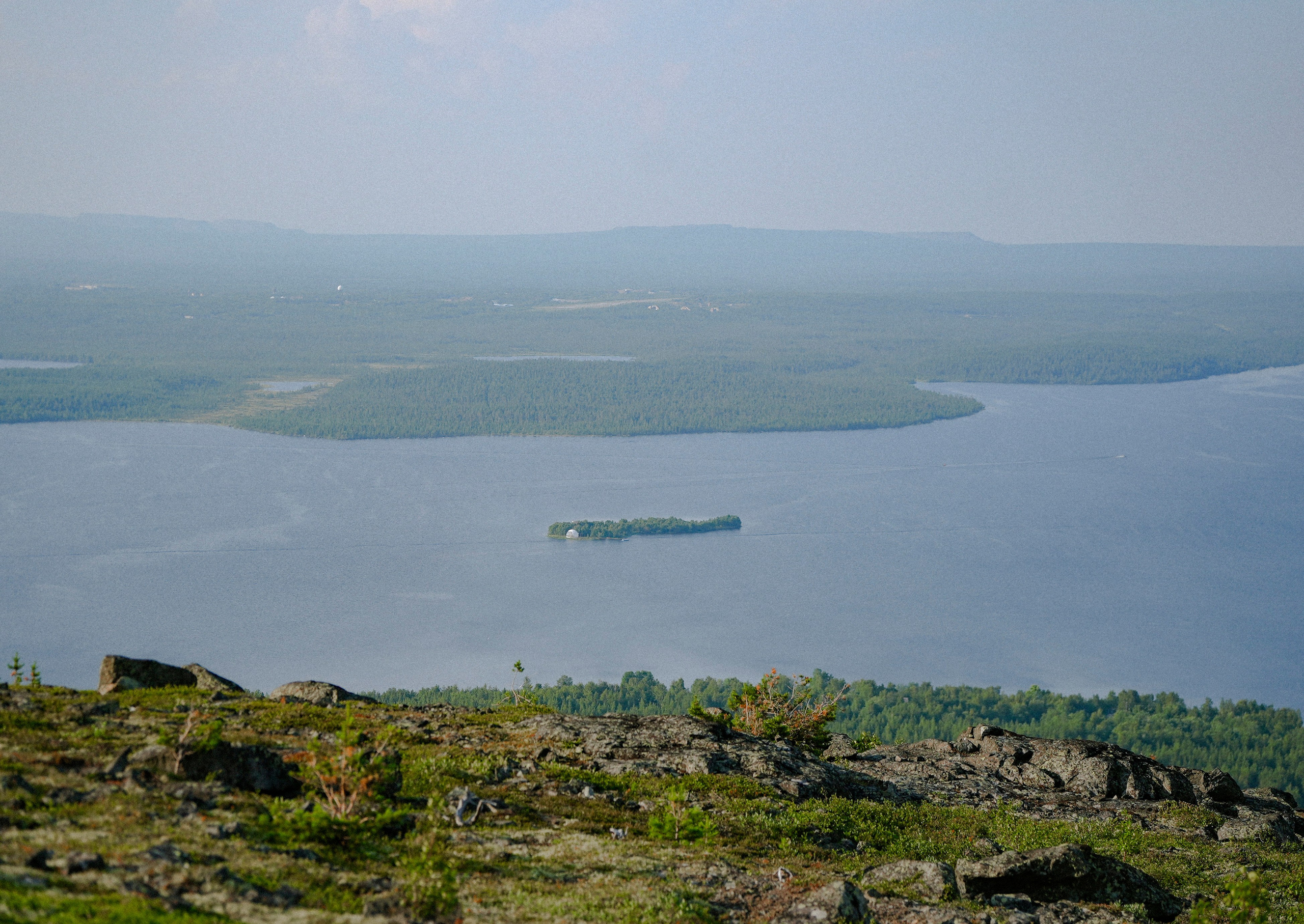2025. Стрит-фотография, полная абсурда, идиотизма и красоты