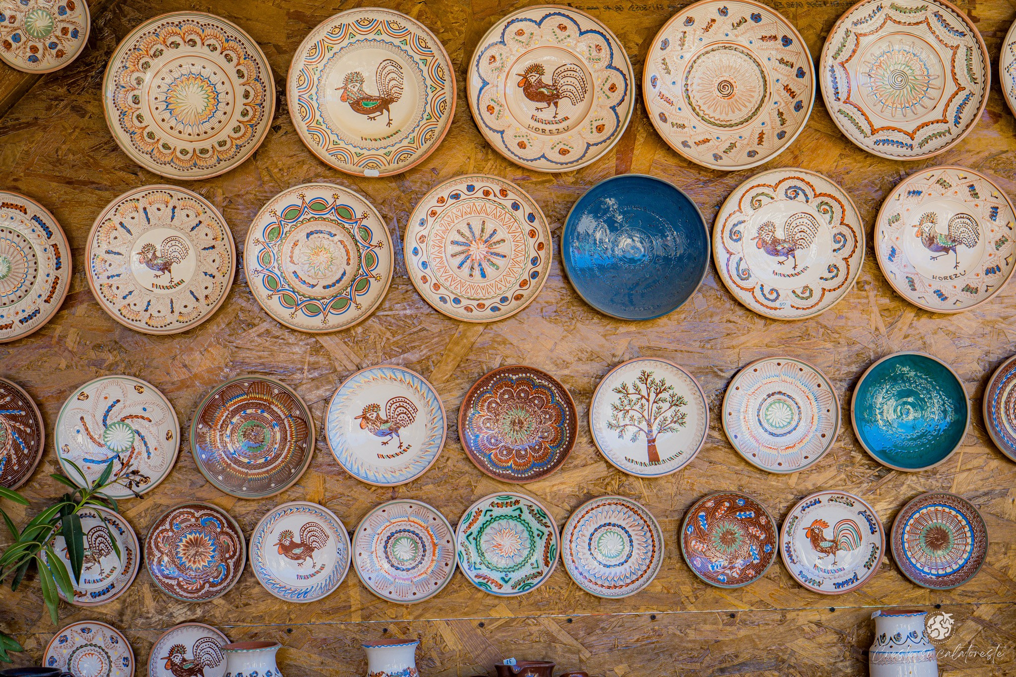 Oltenic Muse. Creste si calatoreste