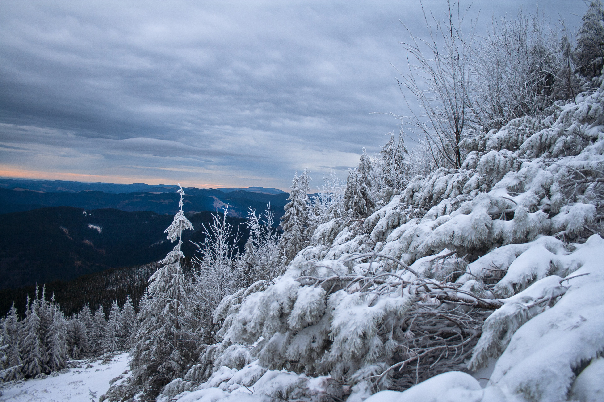 Mountain landscapes. Portrait and still life photographer. Designer, photographer, and illustrator