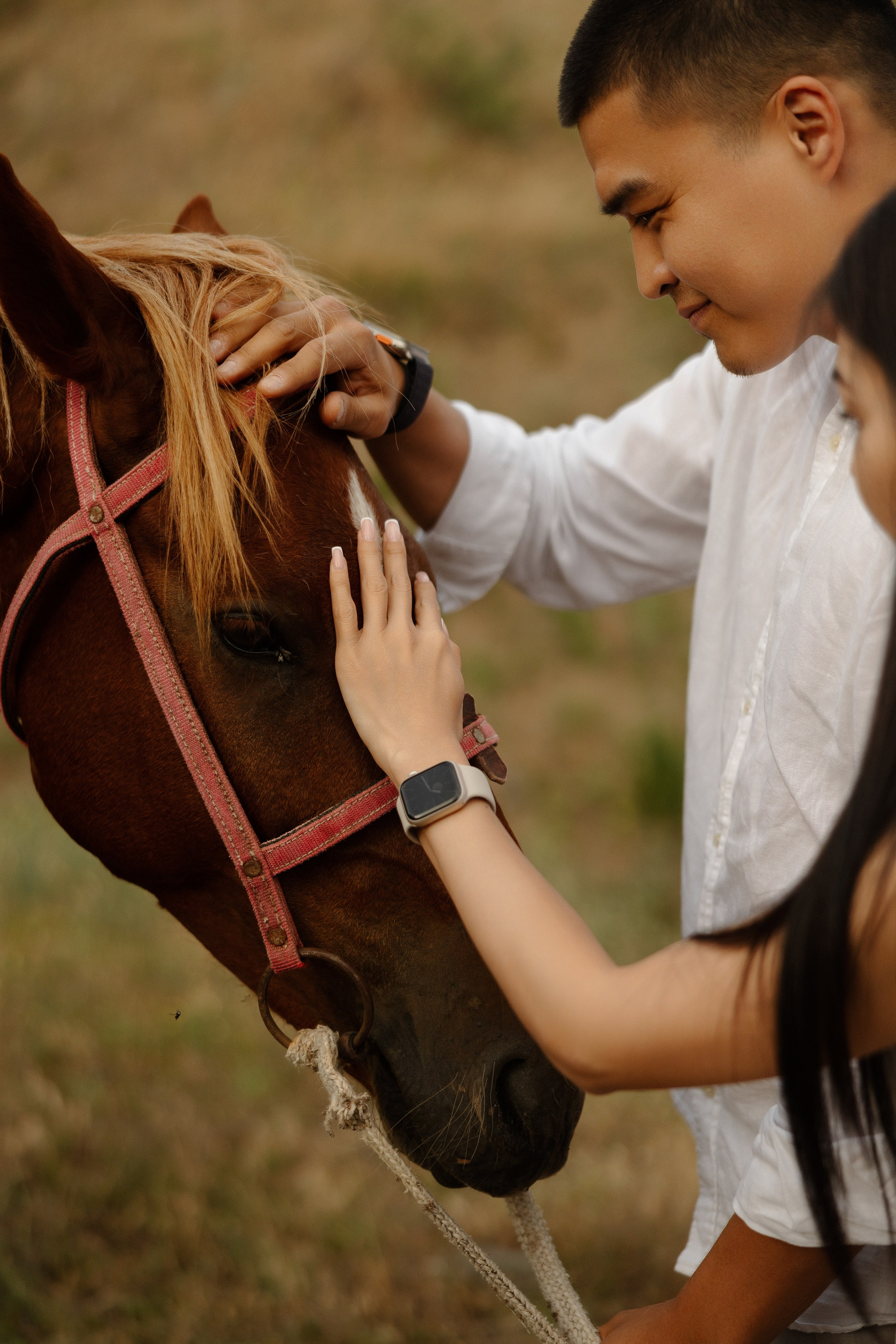Самат и Айжан. Азимжан Нуритдинходжаев — свадебный фотограф
