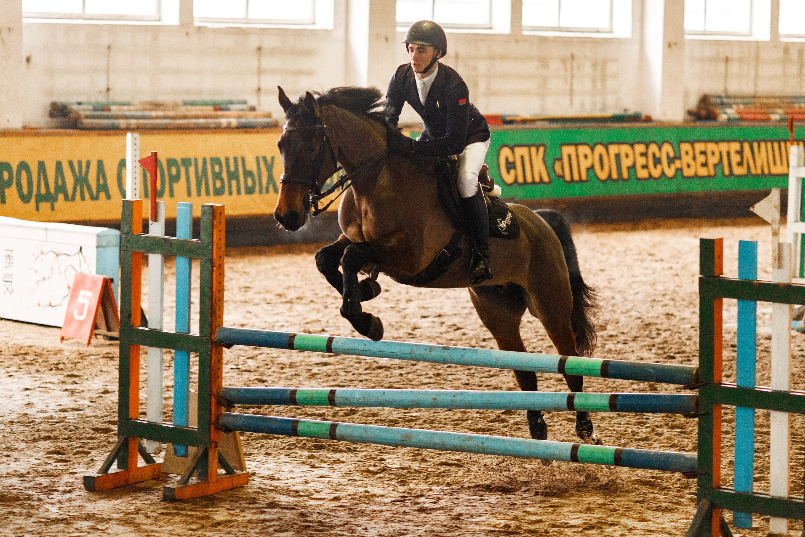 Winter show jumping in «Progress». Kaja | fotograf we Wrocławiu | ludzie i psy