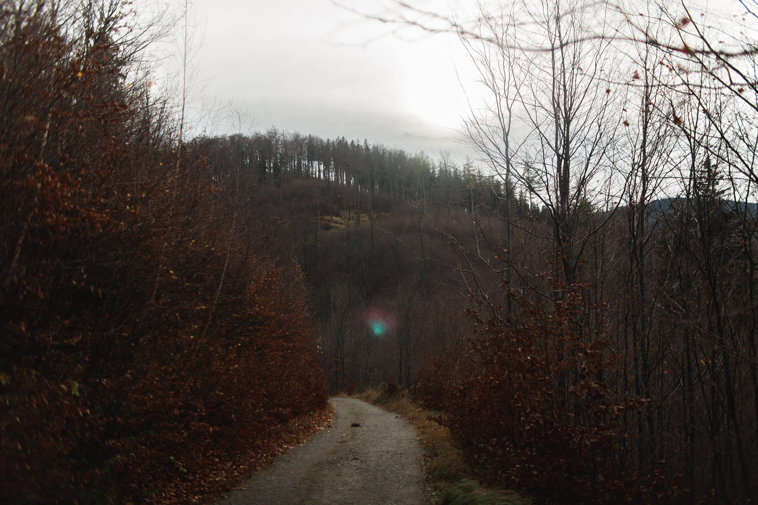 Sowie góry. Kaja | fotograf we Wrocławiu | ludzie i psy