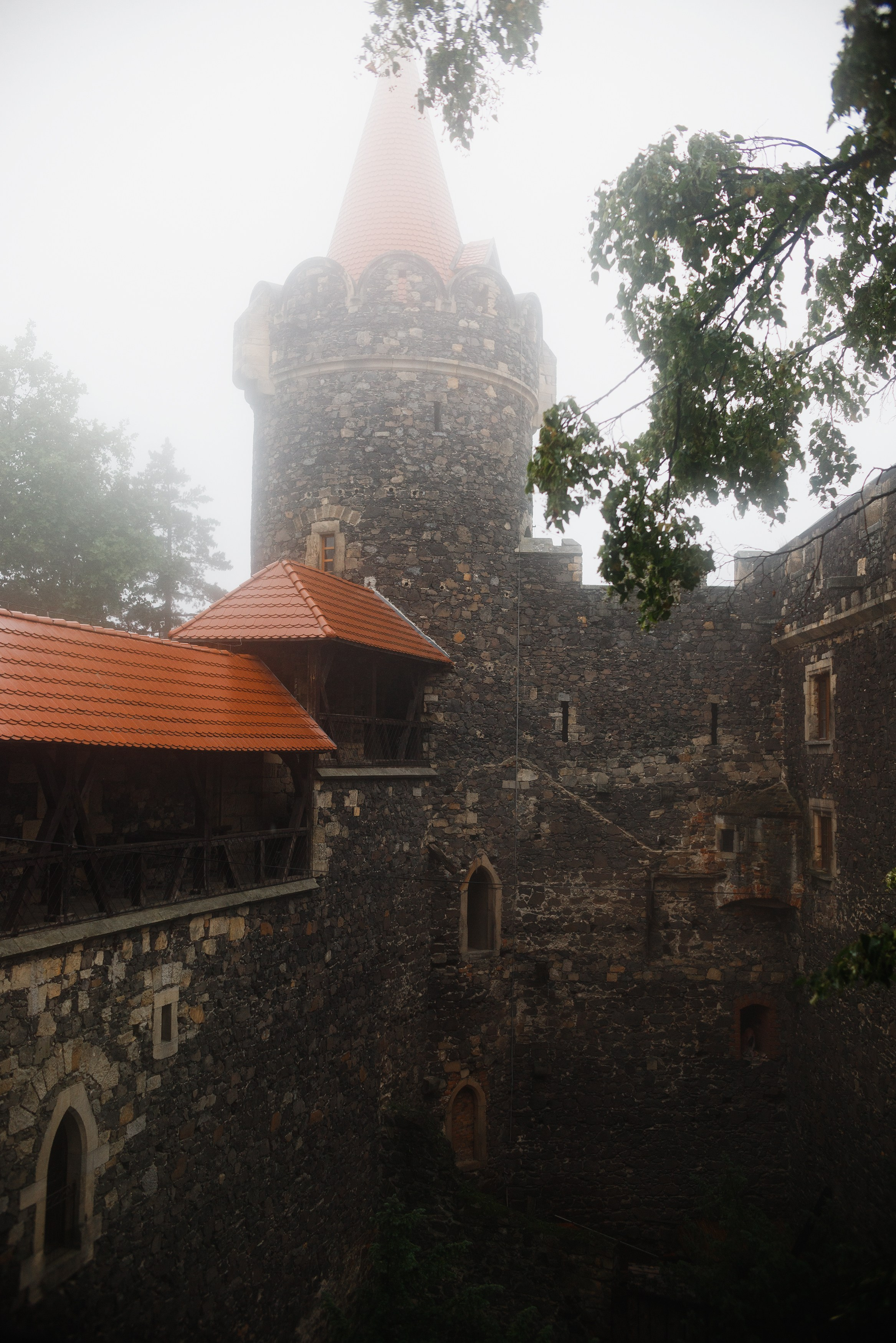 Zamek Grodziec. Kaja | fotograf psów we Wrocławiu