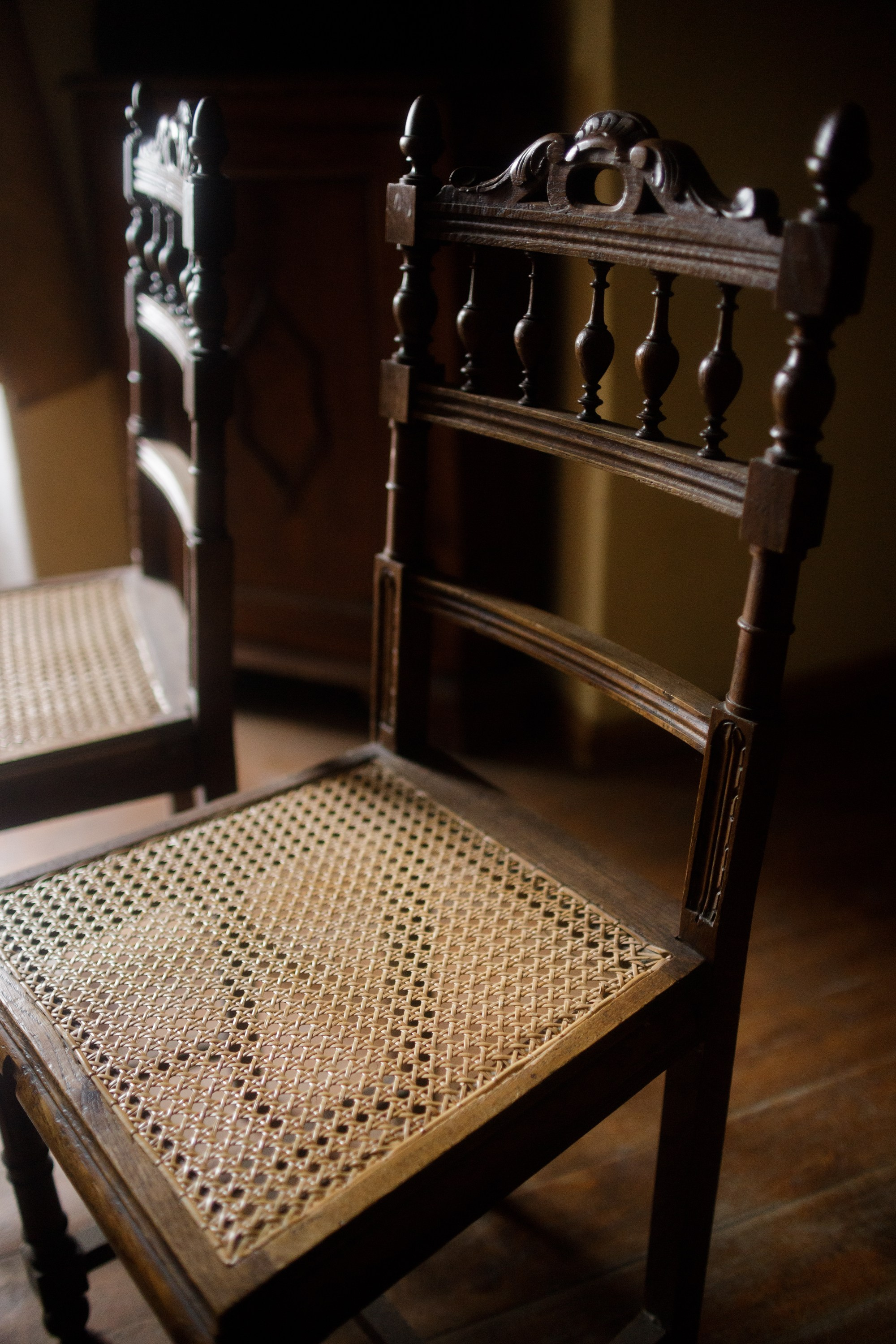 Zamek Grodziec. Kaja | fotograf psów we Wrocławiu