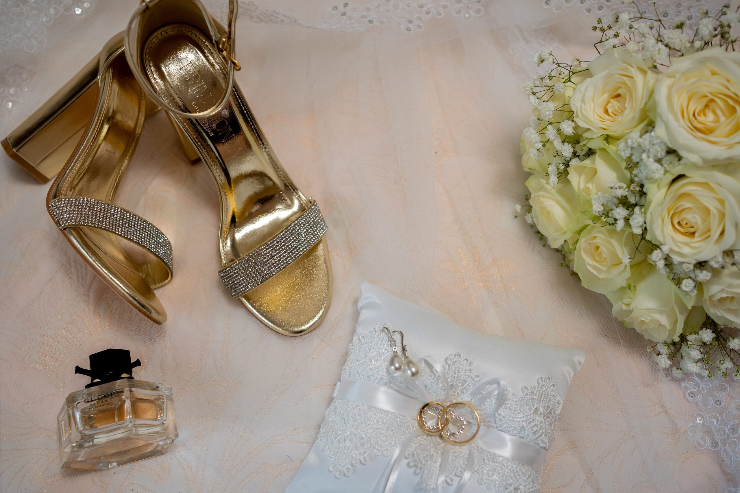 Portafoglio. Mocanu Roman di fotografo in Bologna/Modena/Ferrara