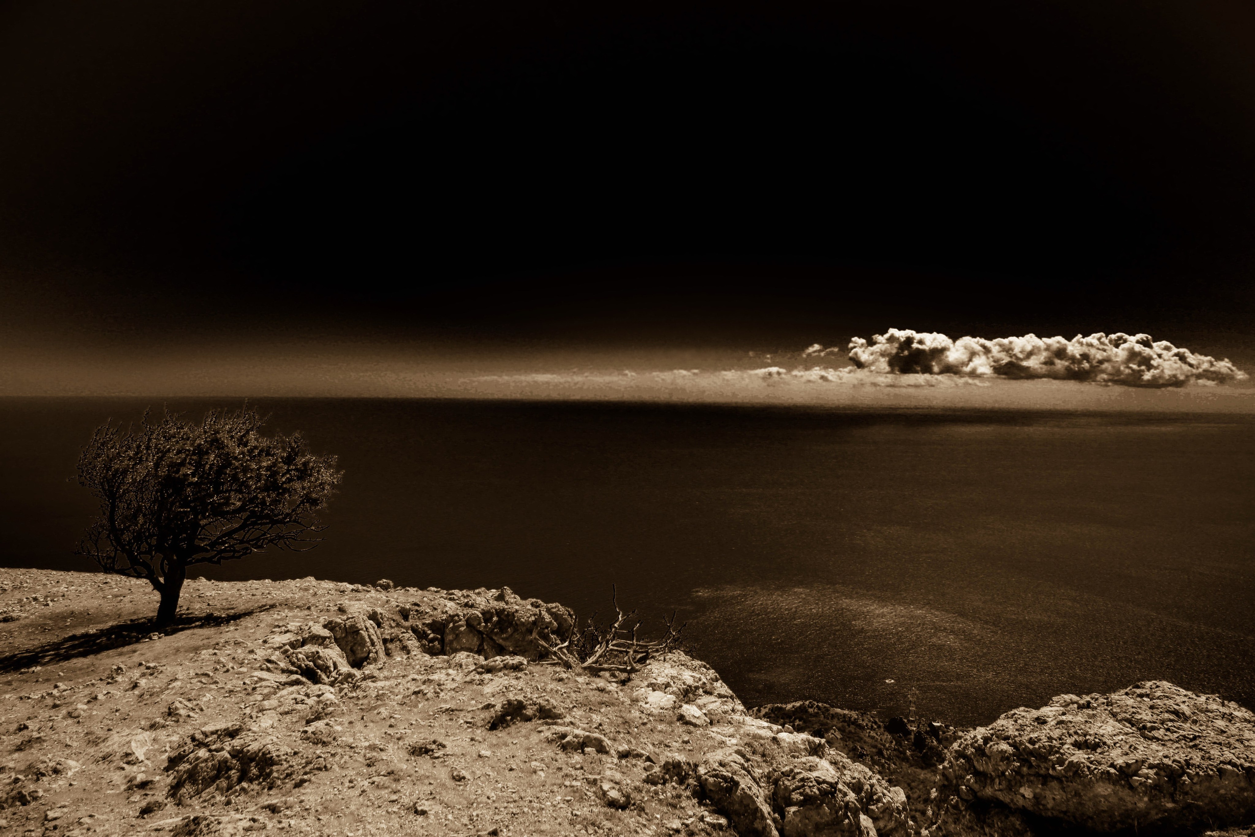 EXHIBITION. Lero Photographer and a set designer|individual custom portrait and advertising photography in Zutphen