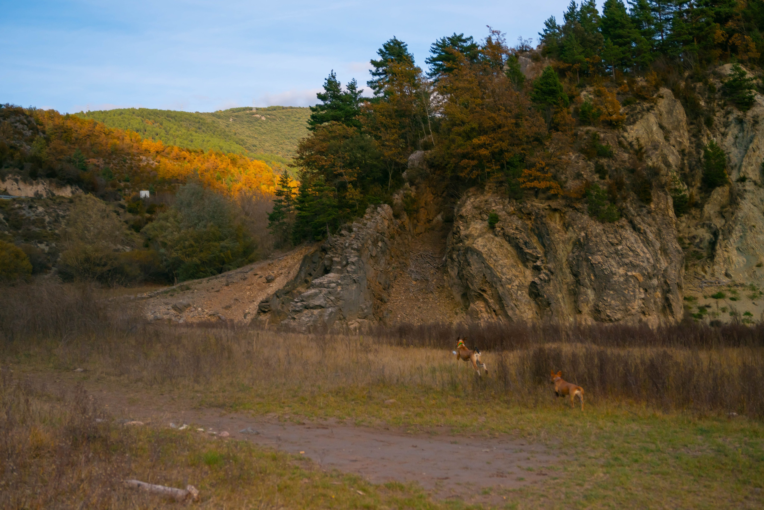Ruta Otoño. Alba del Norte Studio