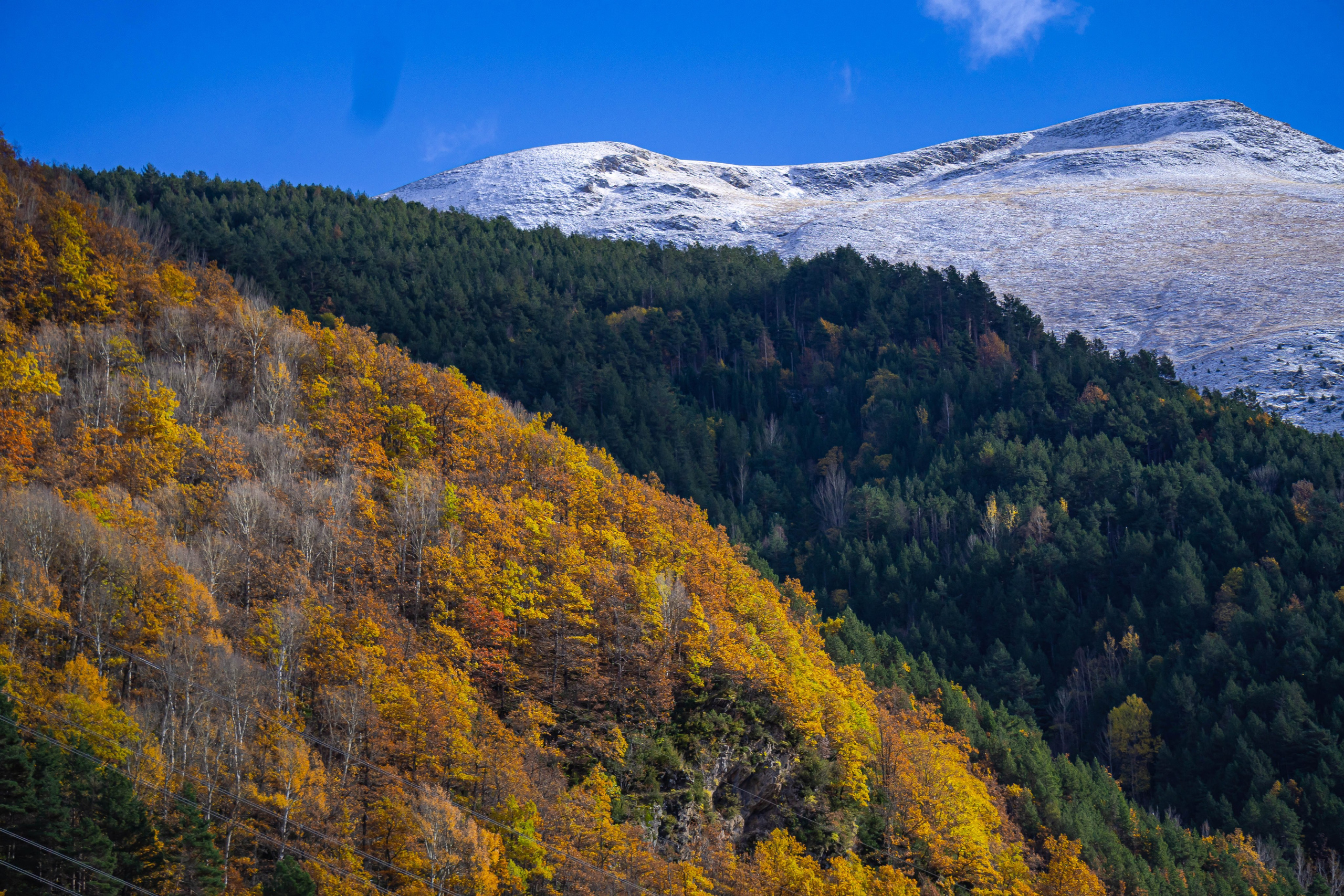 Bocetos. Alba del Norte Studio