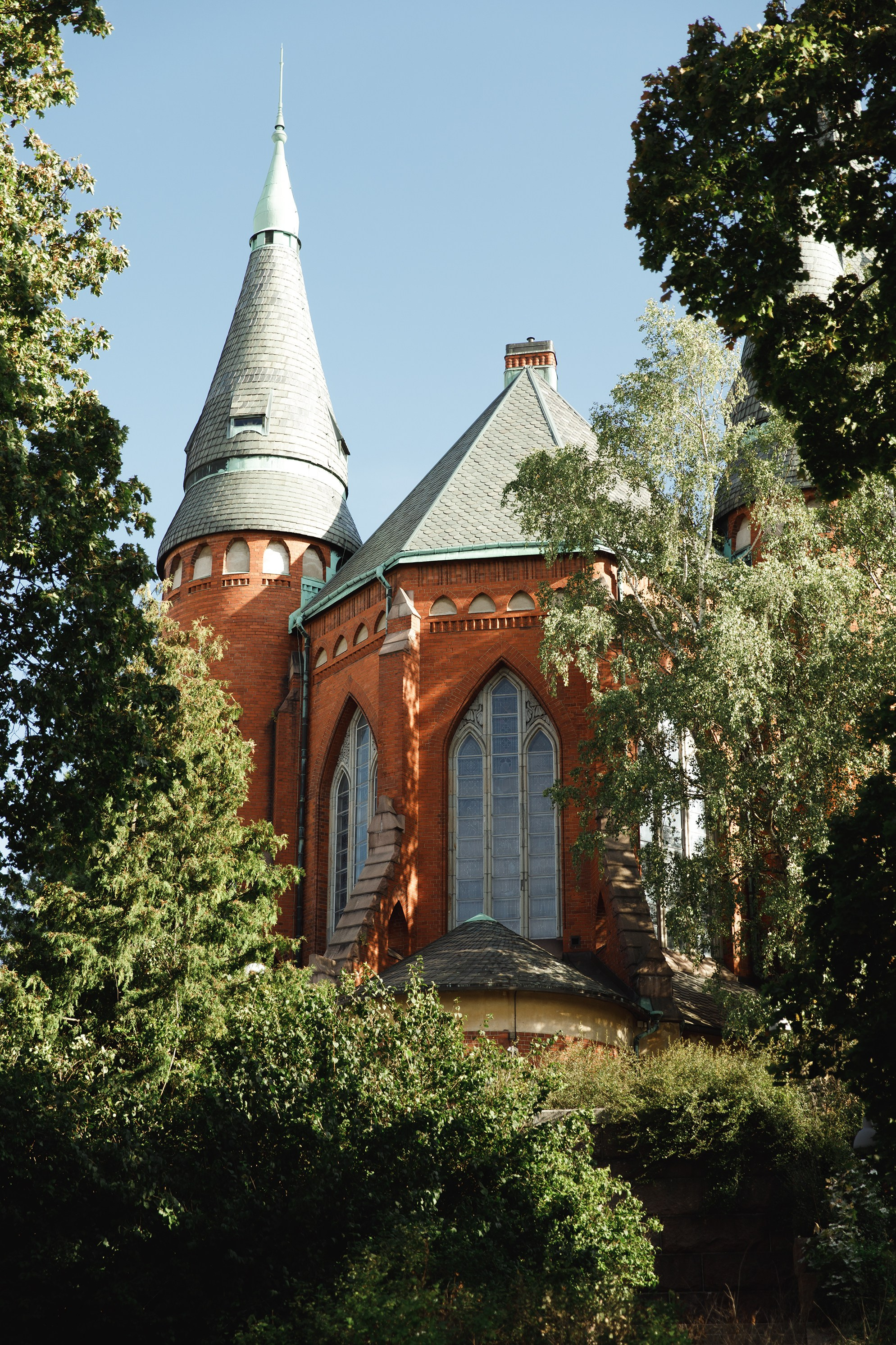 Turku. Kaja | fotograf psów we Wrocławiu