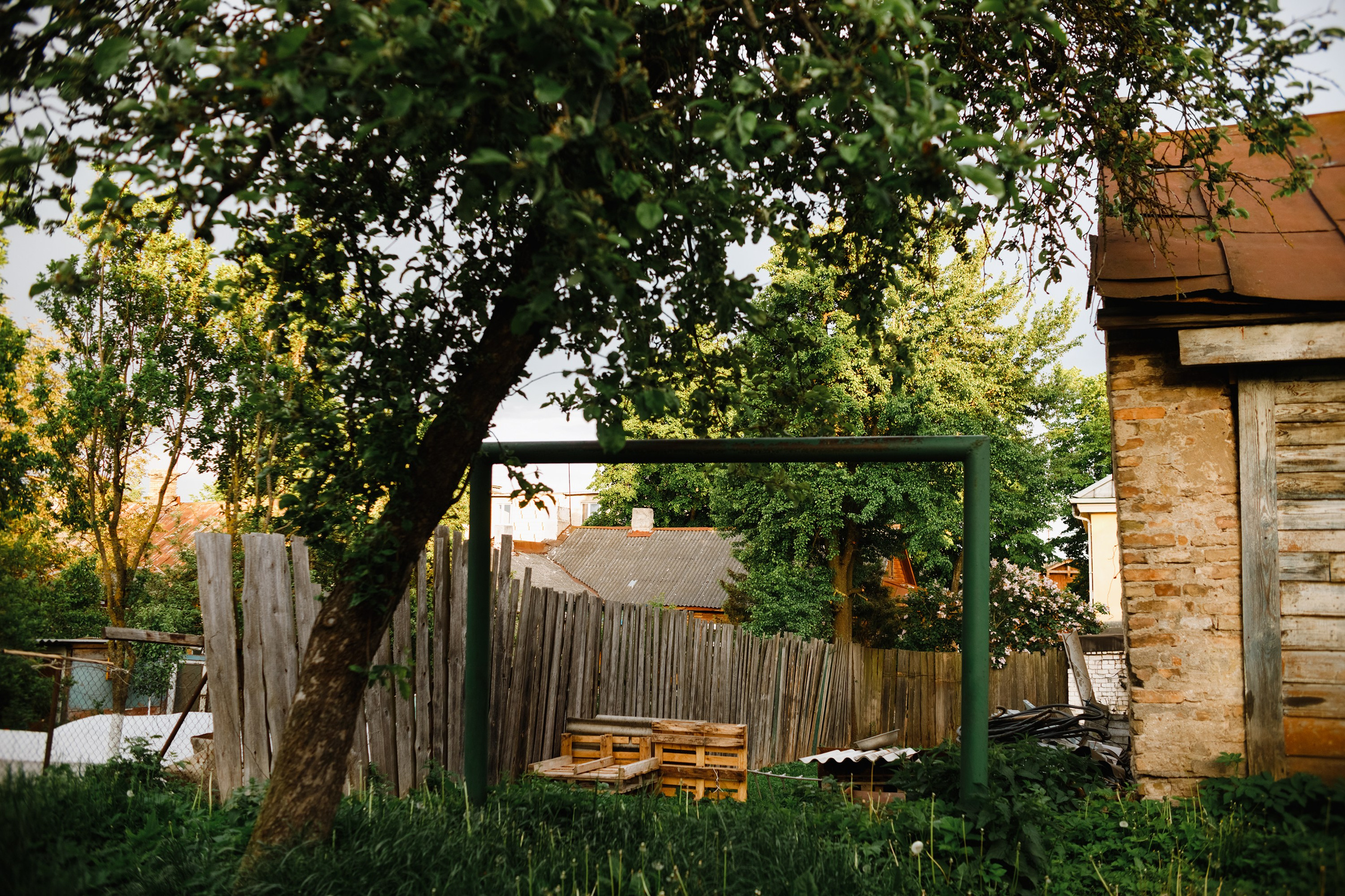 Grodno. Kaja | fotograf we Wrocławiu | ludzie i psy