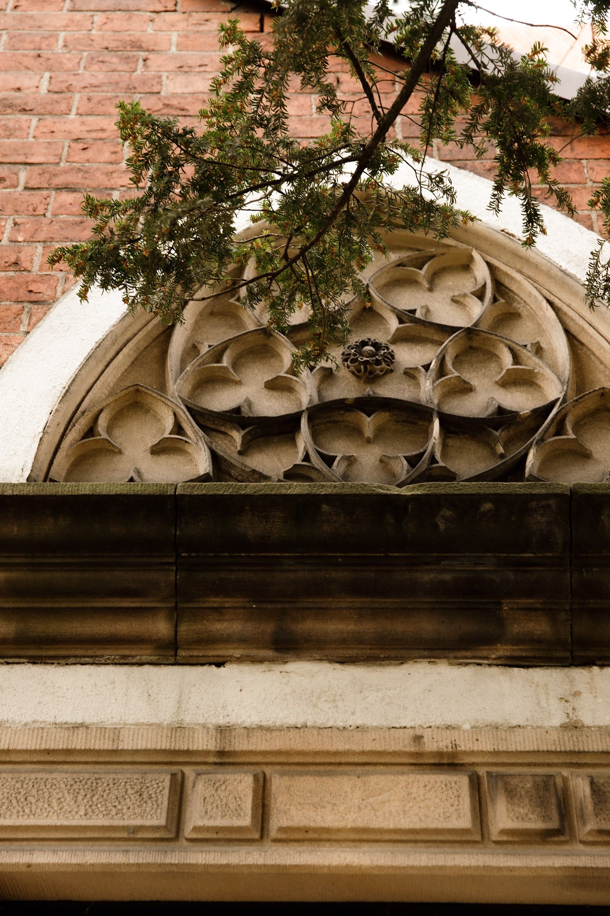 Oleśnica castle. Kaja | fotograf psów we Wrocławiu