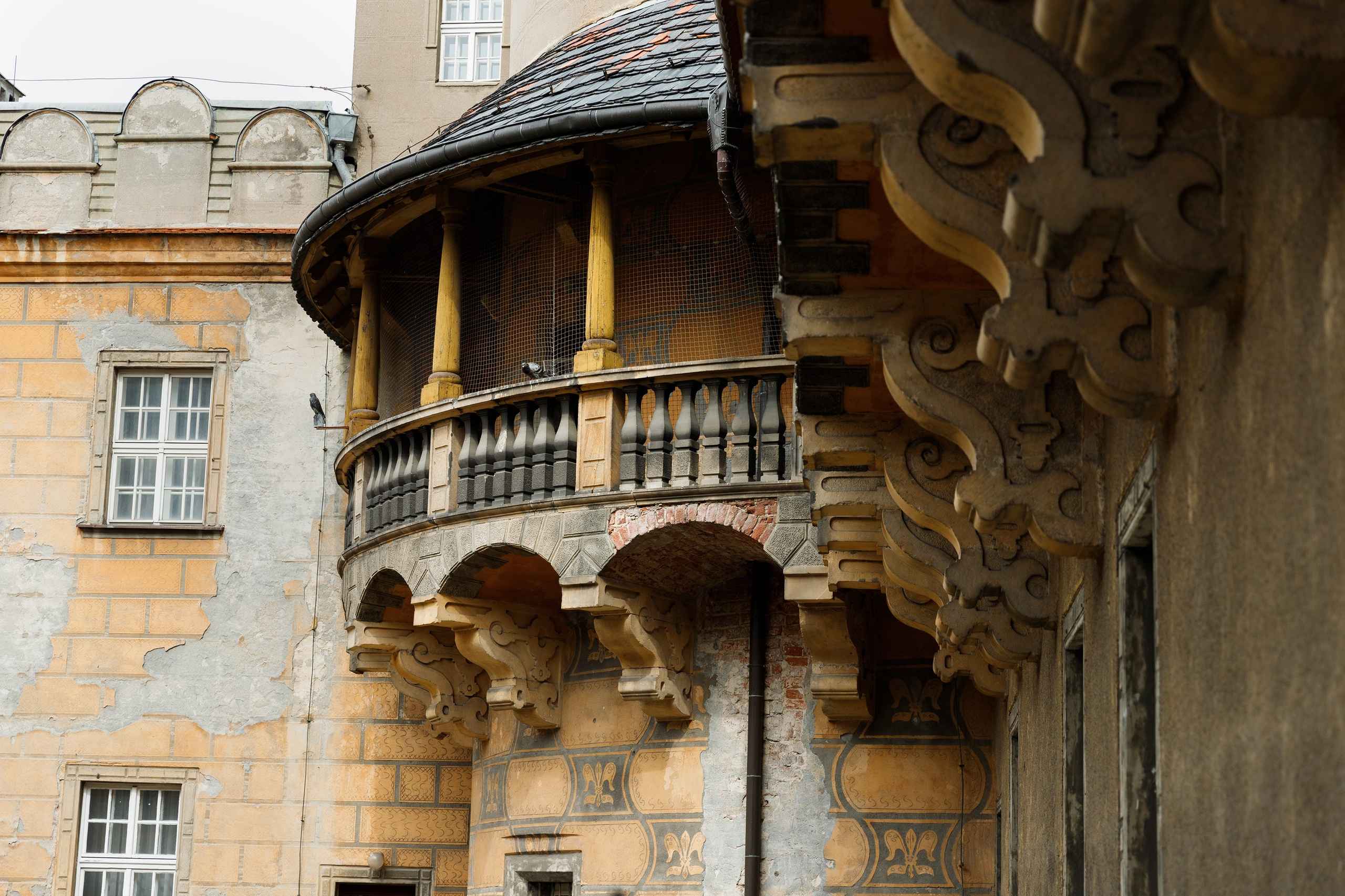 Oleśnica castle. Kaja | fotograf psów we Wrocławiu