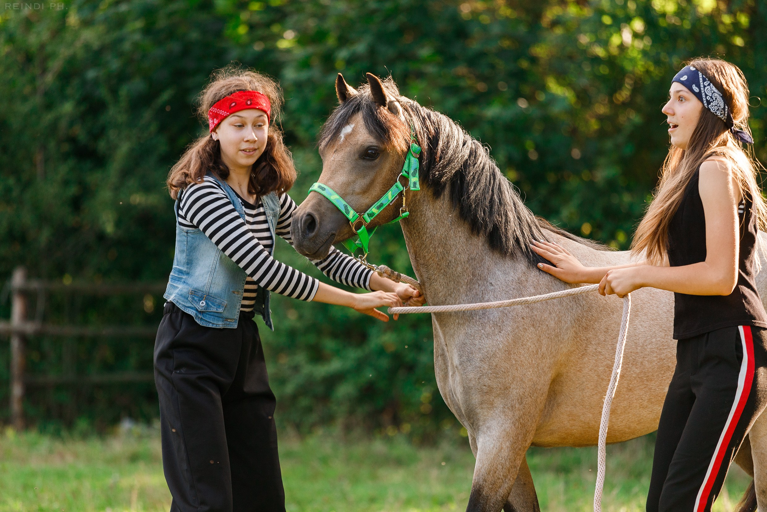 Horse show in the village. Kaja | fotograf we Wrocławiu | ludzie i psy