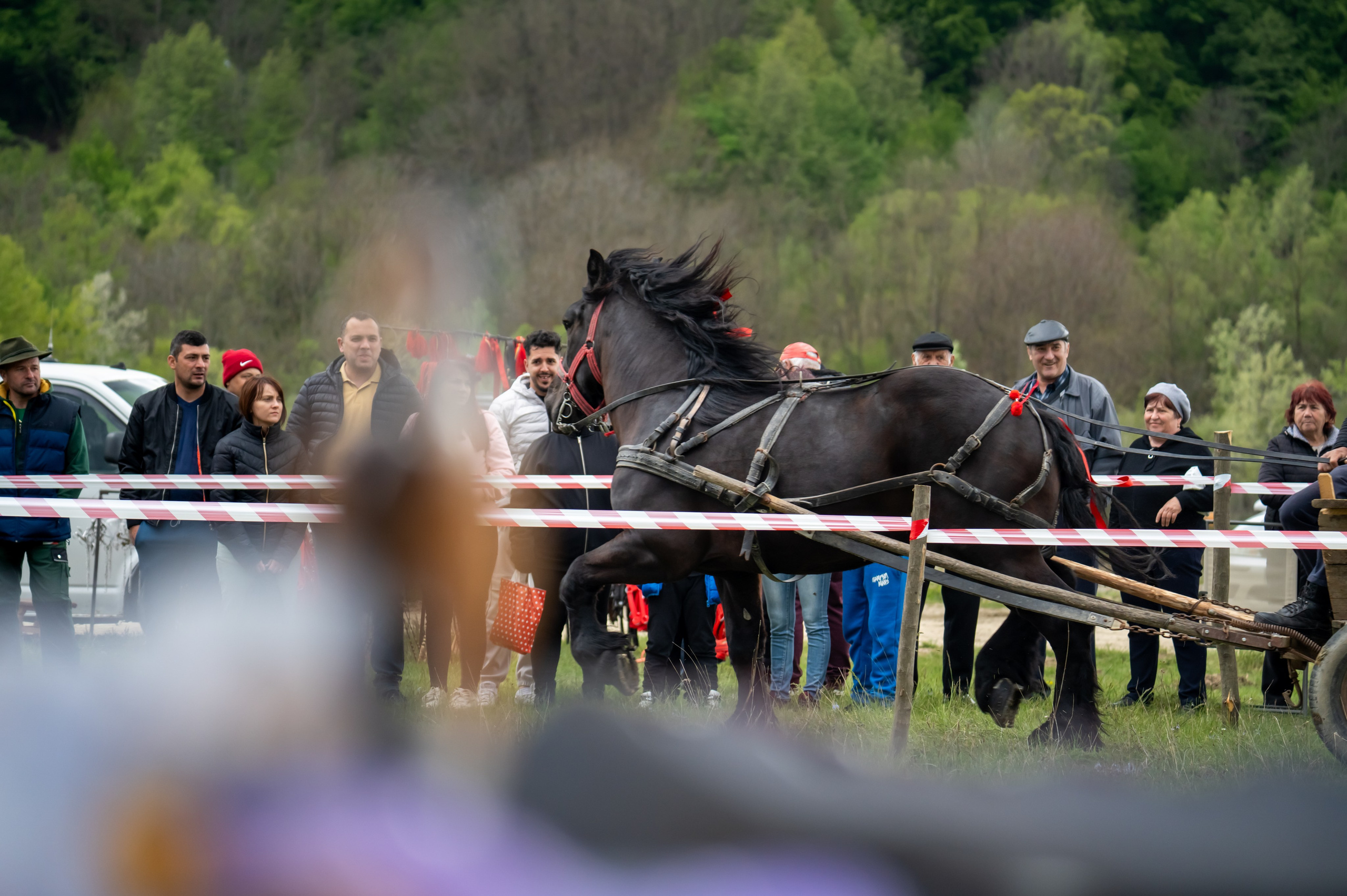 Concurs Ecvestru Vărbilău ediția a 4-a. Mihai Alexandra Events