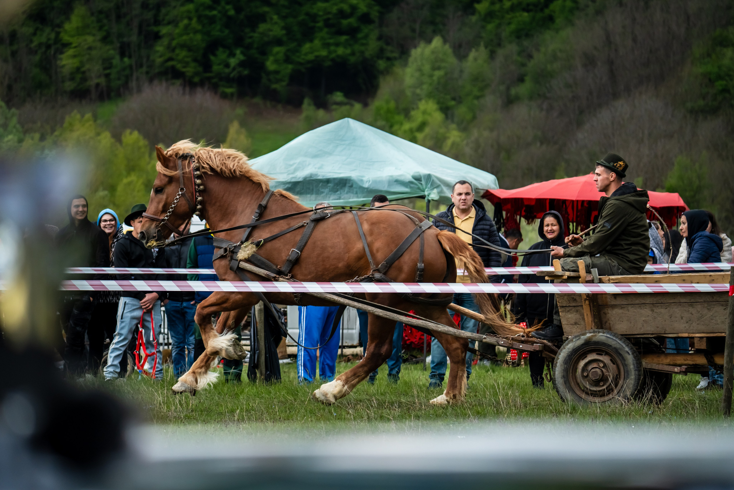 Concurs Ecvestru Vărbilău ediția a 4-a. Mihai Alexandra Events