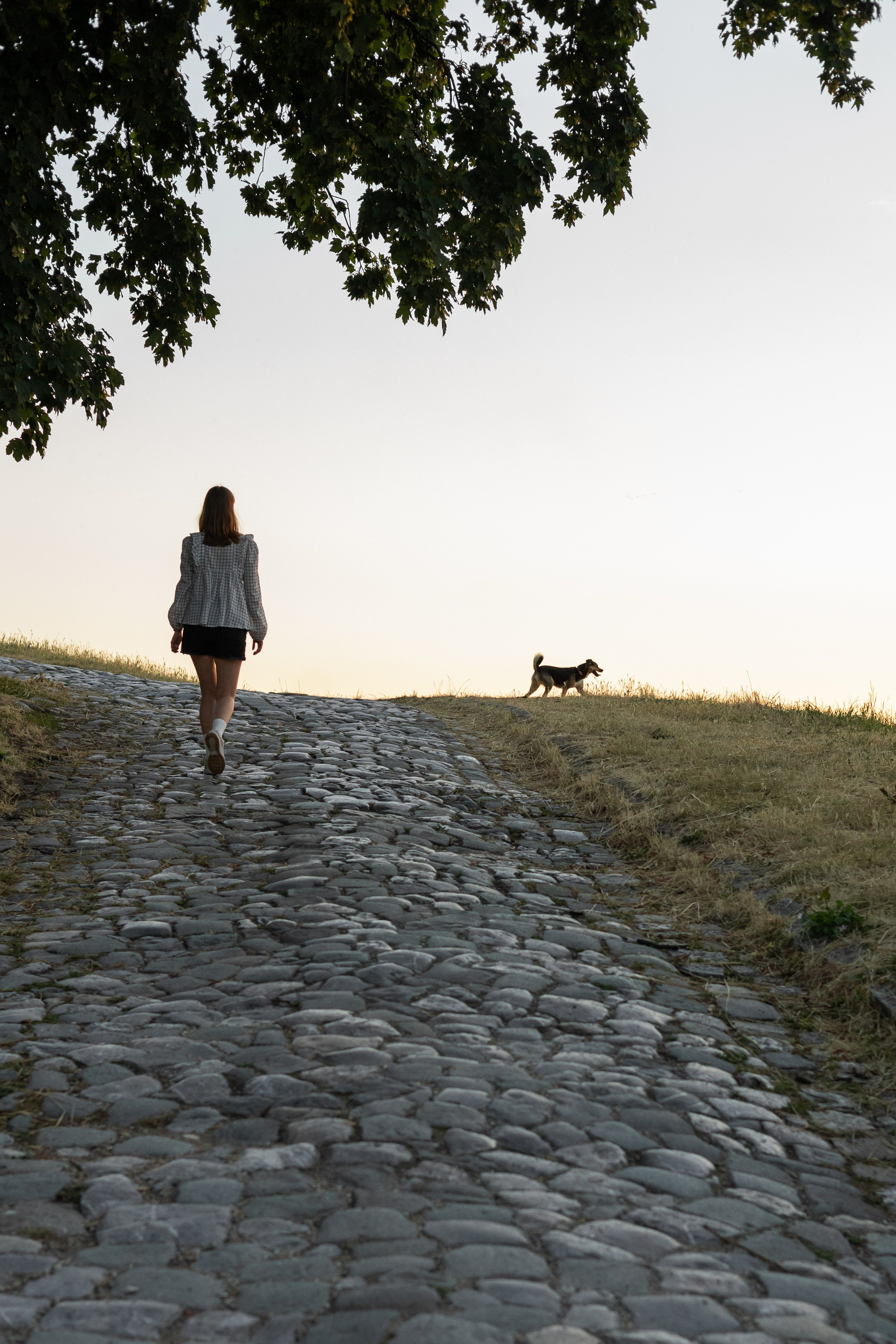 Настя, Денис и Мося. Фотограф-анималист | Белград