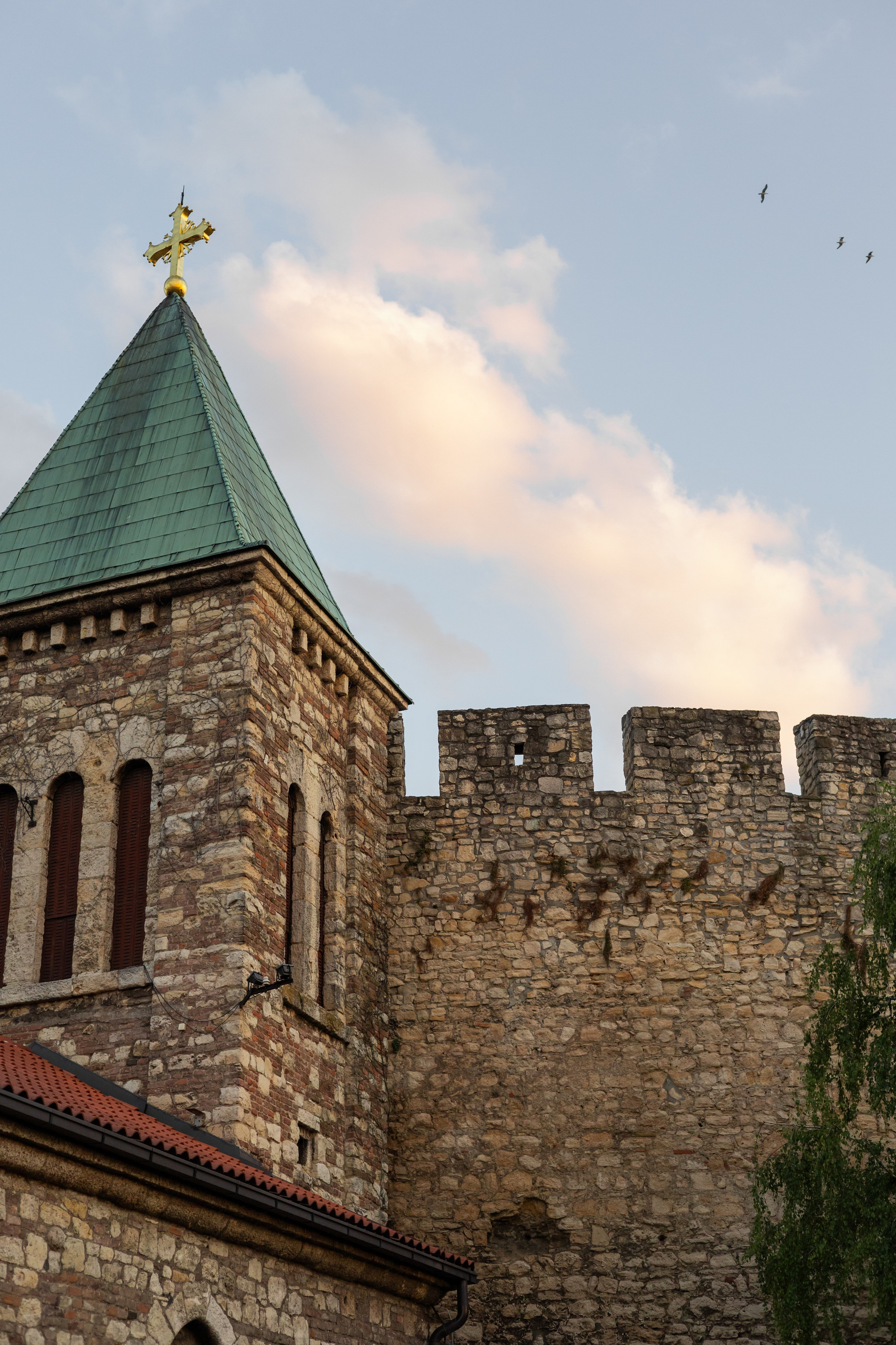 Настя, Денис и Мося. Фотограф-анималист | Белград