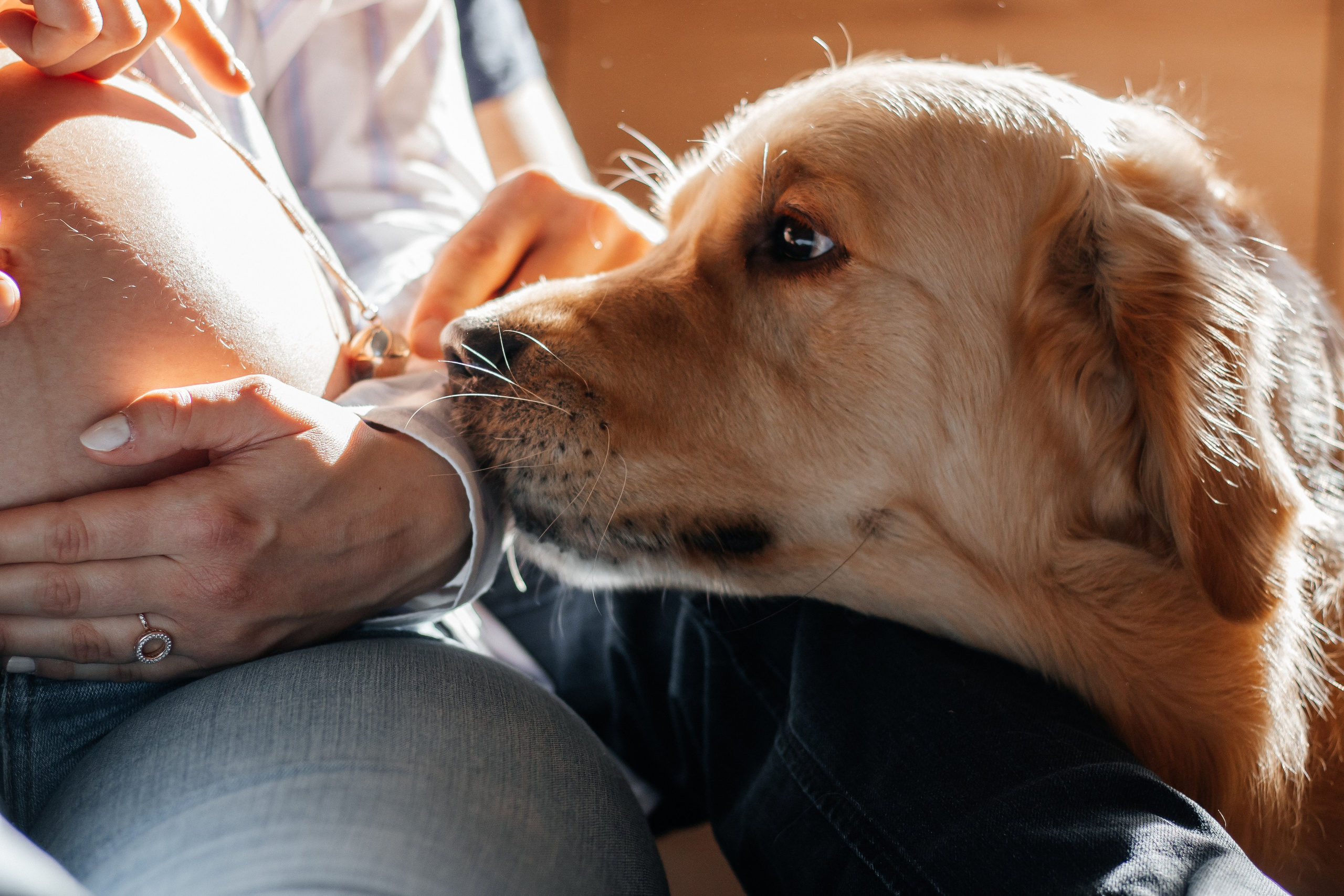 L’Amour qui Grandit. Photographe à Chartres Ekaterina Kudinova