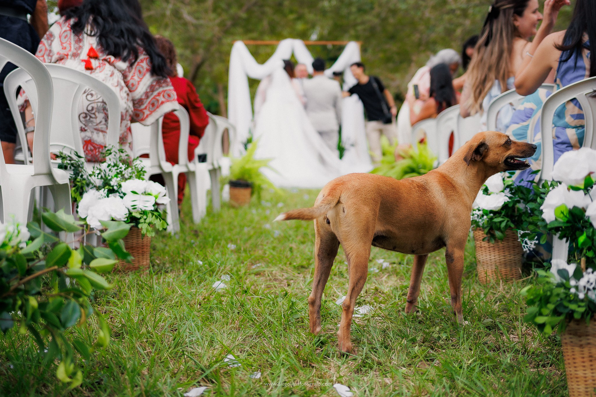Maiza&Gui — Casamento. Diego Lima Fotógrafo e Videomaker em Rondônia