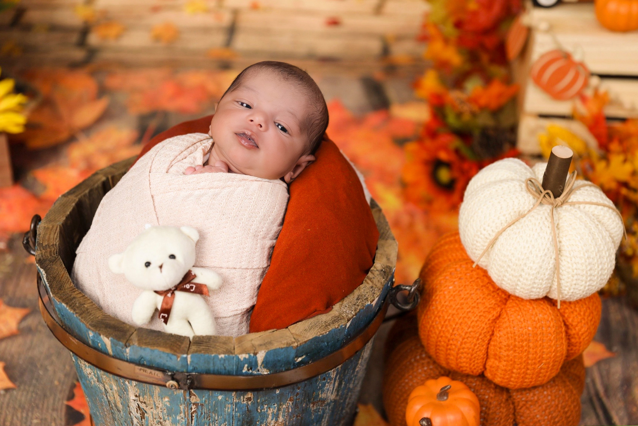 Newborn. AP Lens Photography | Newborn, Maternity, Milestone & Family Photographer Little Elm TX