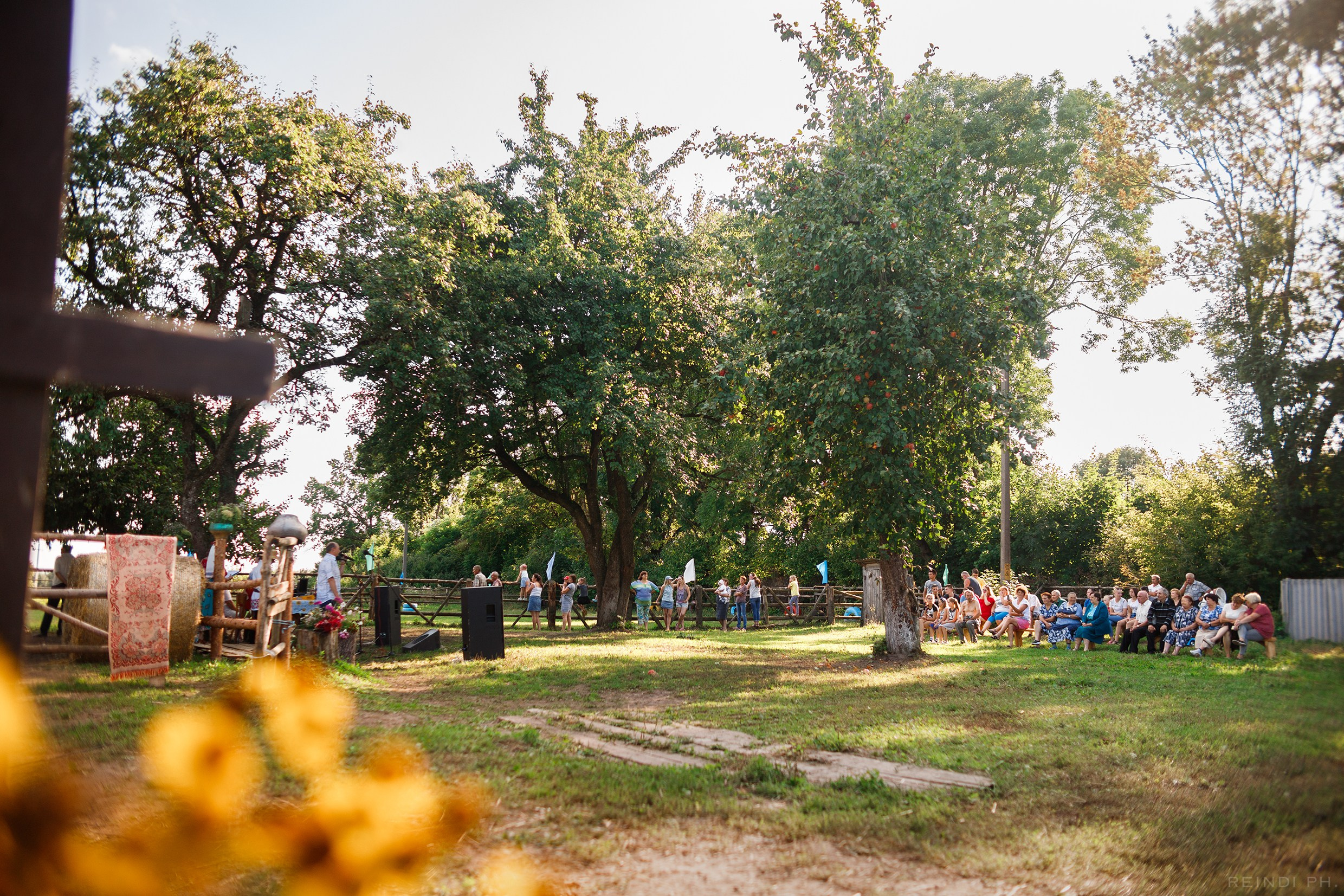 Horse show in the village. Kaja | fotograf we Wrocławiu | ludzie i psy
