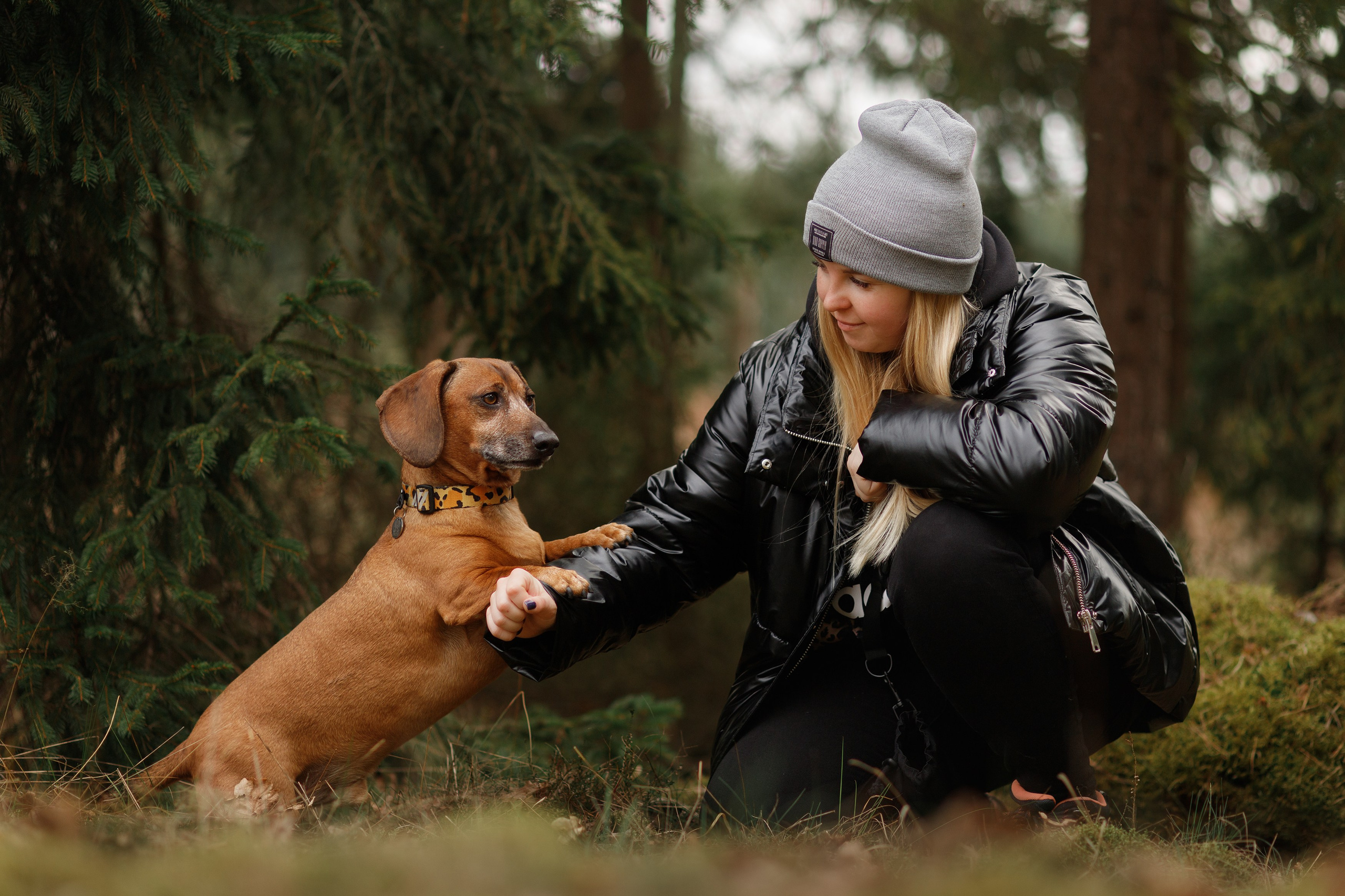 Ania, Franek & Vincent. Kaja | fotograf psów we Wrocławiu